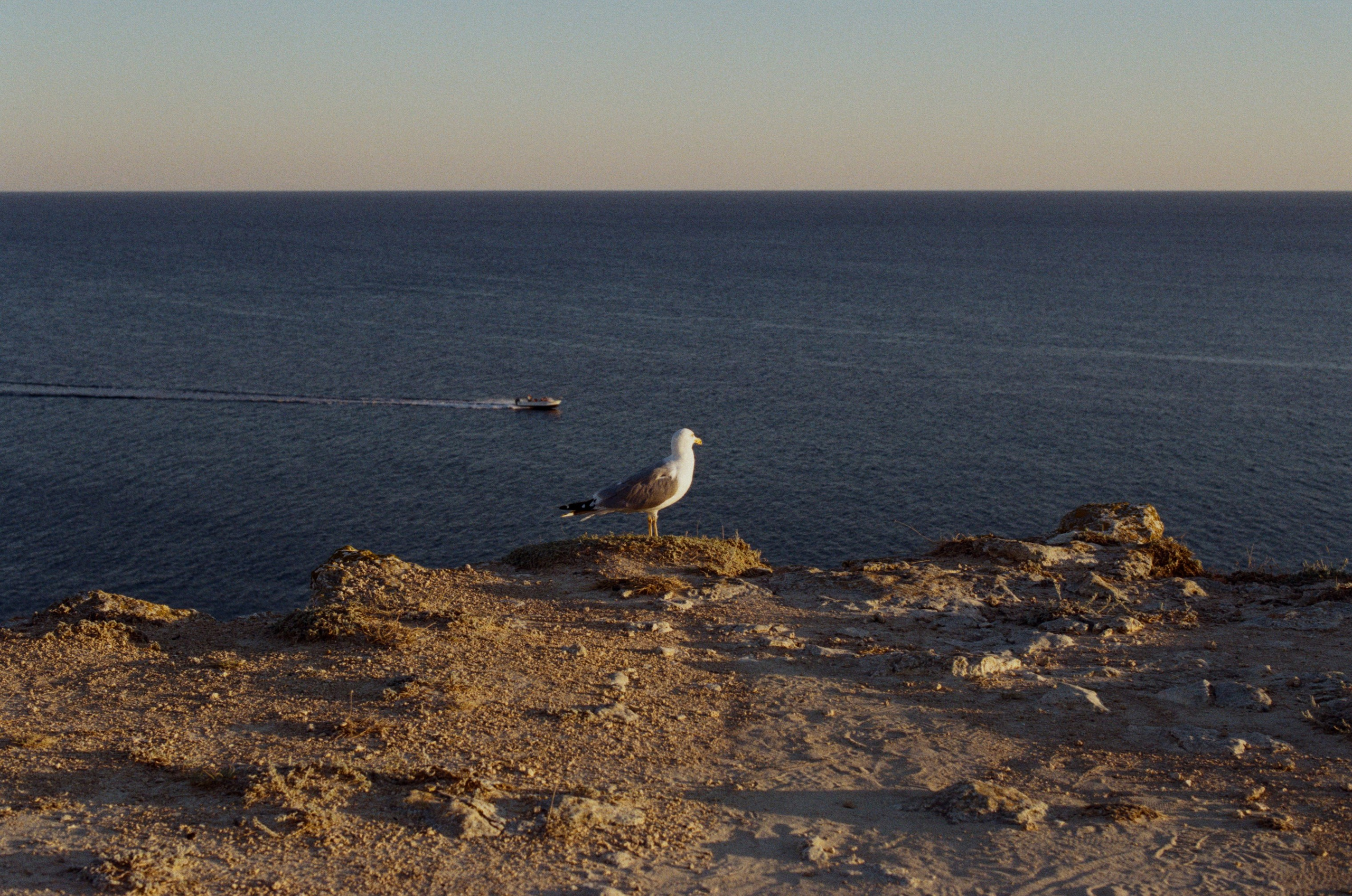 Lovesong // ukraine, crimea. EVER EXPOSED