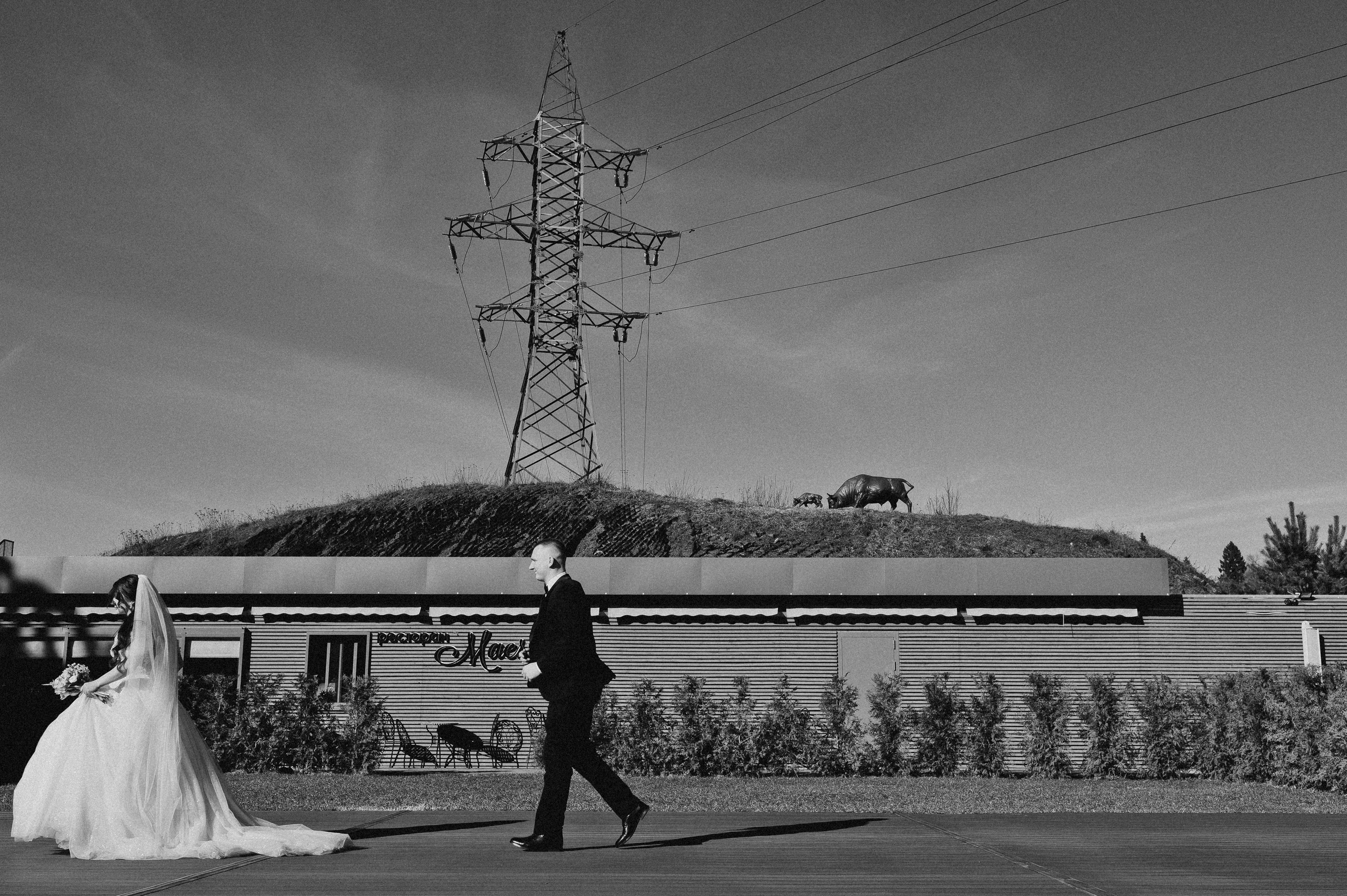 Свадьбы. Фотограф Тверь