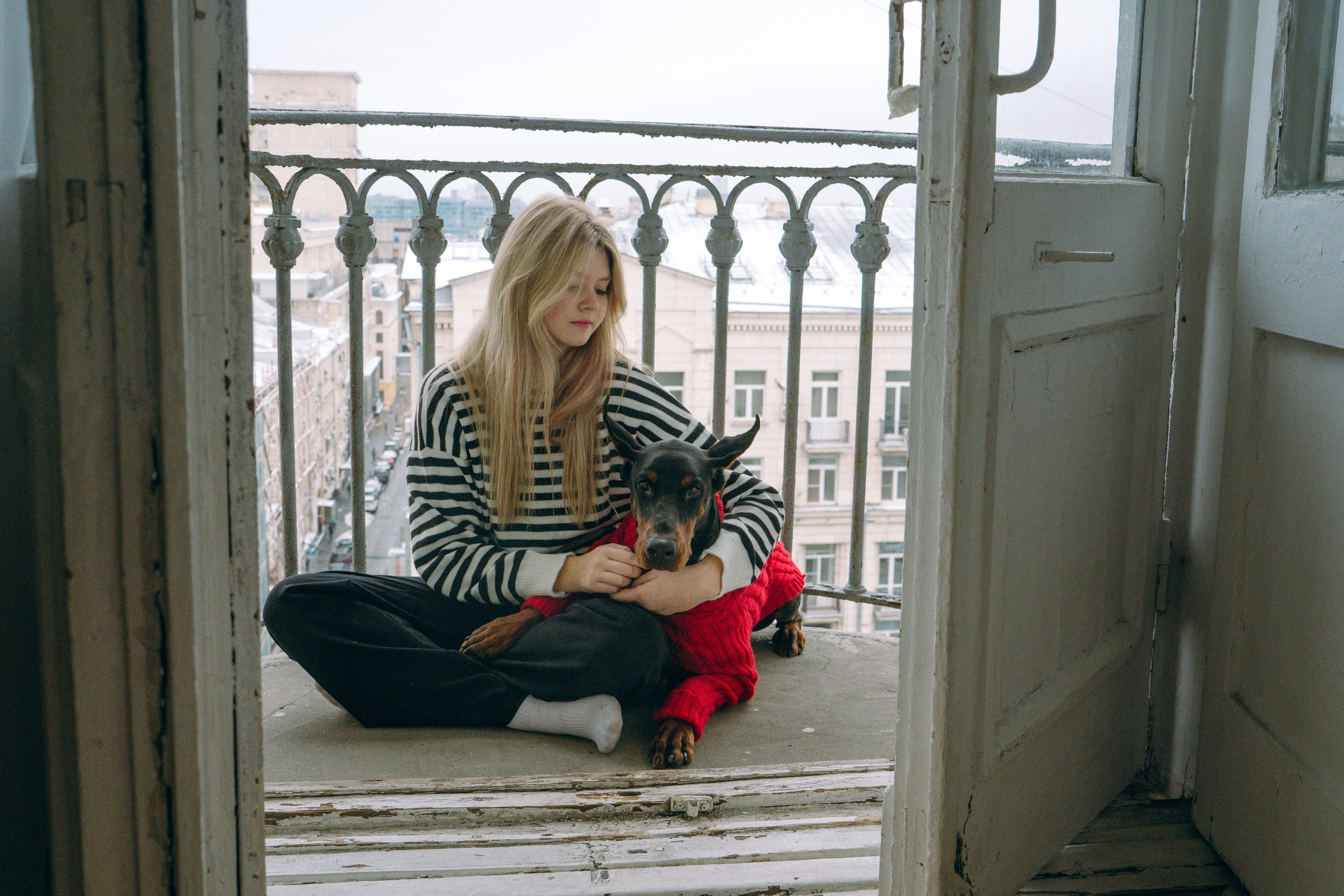 Саша и Асти. Фотограф анималист в Москве и Санкт-Петербурге Свиридова Анна