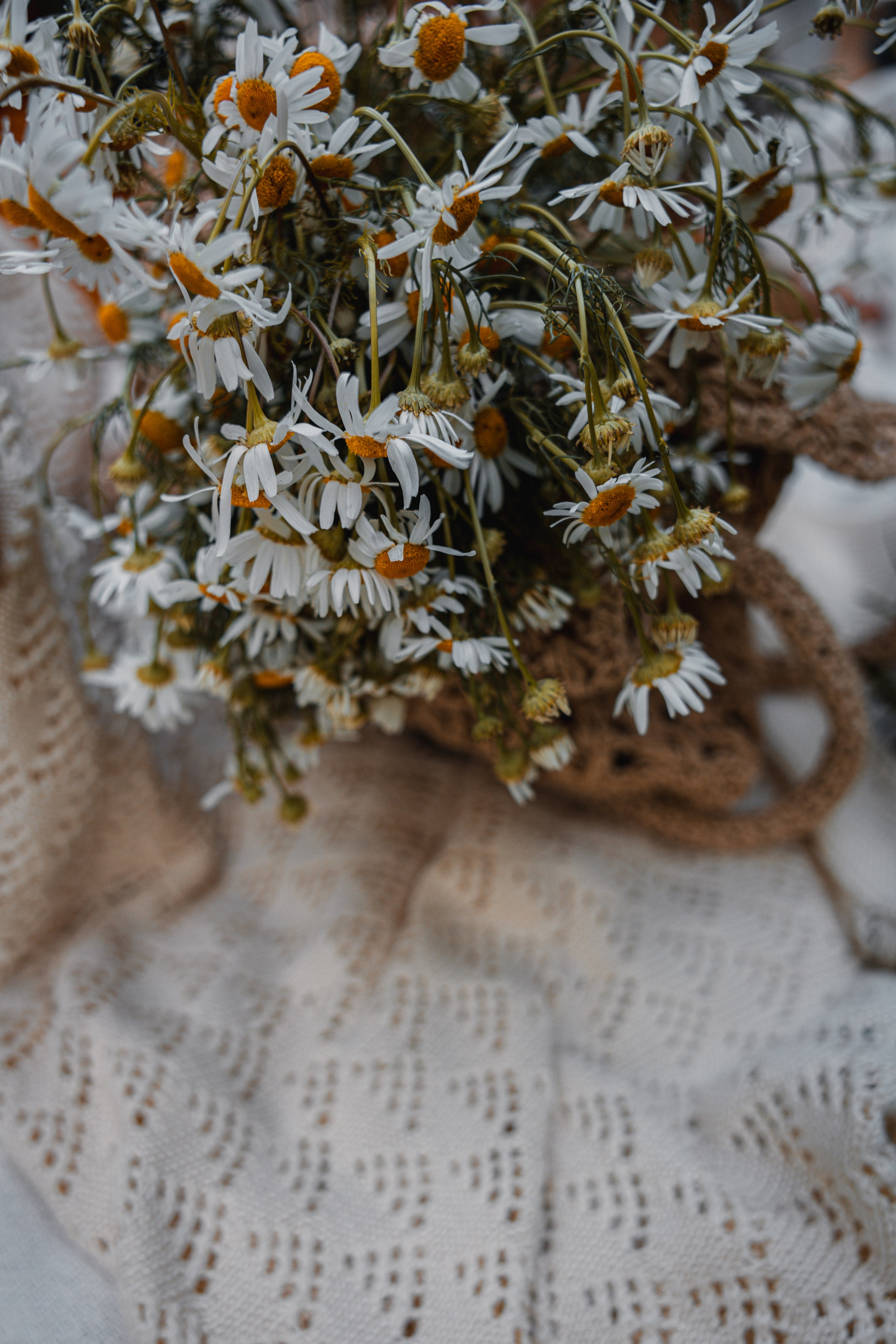 Пикник в парке. Андрей, Катя и Платон. Ваш семейный newborn и lifestyle фотограф в СПБ Наталья Журавлева