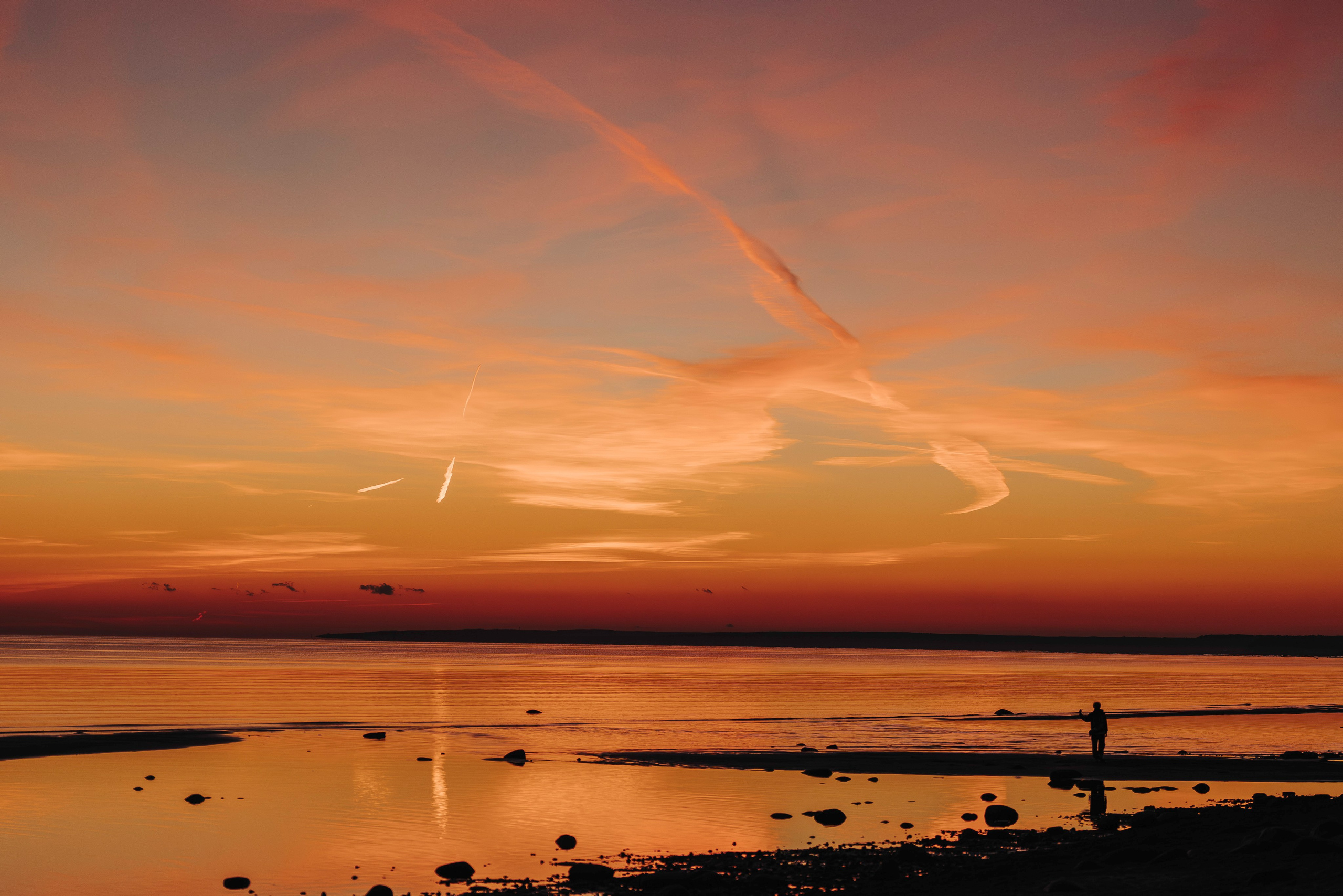 Фотосессия девушки с пуделем на пляже на закате. Фотограф анималист в Спб недорого Олеся Майорова