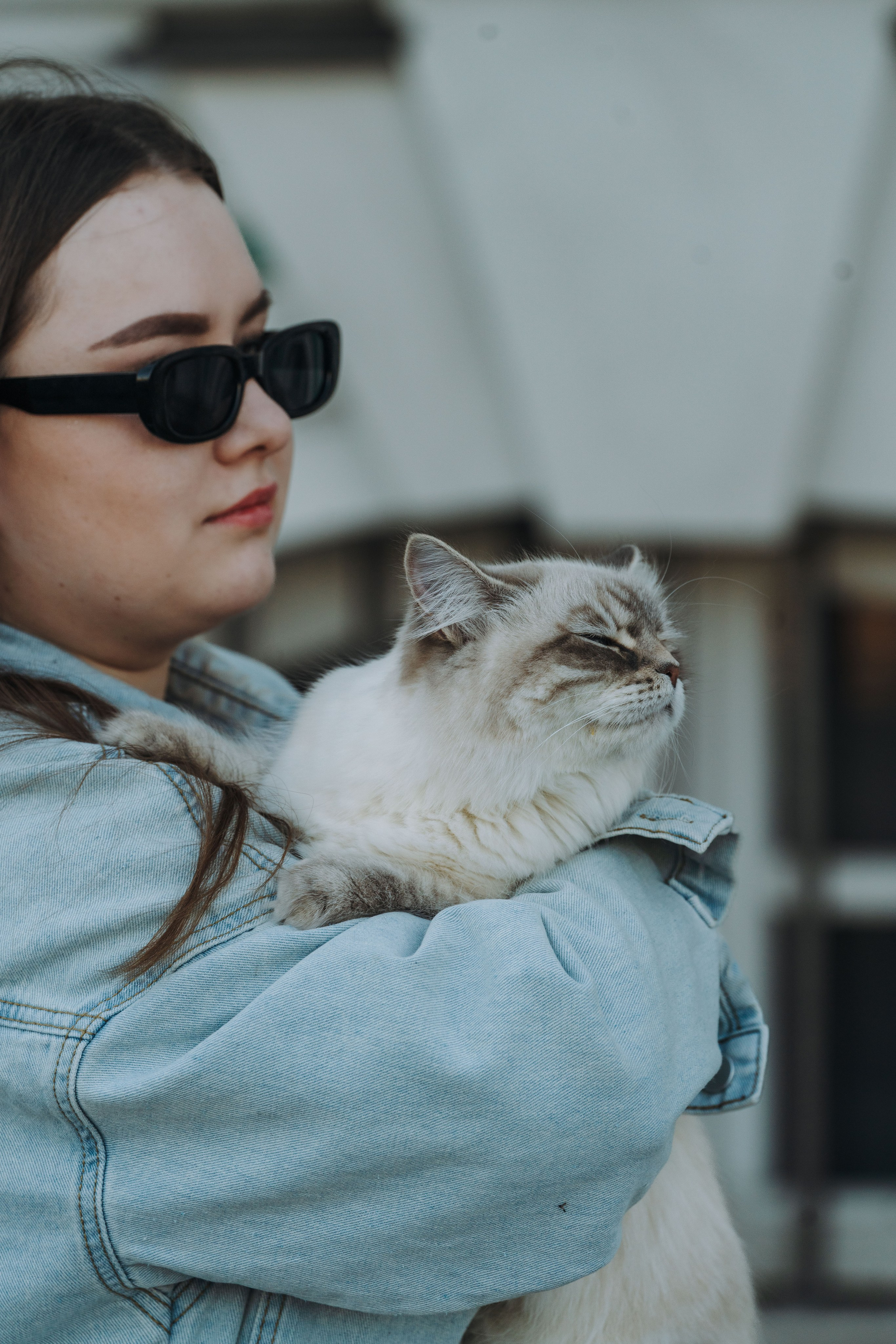 Сильвия, Полина и Никита. Фотограф анималист в Спб недорого Олеся Майорова