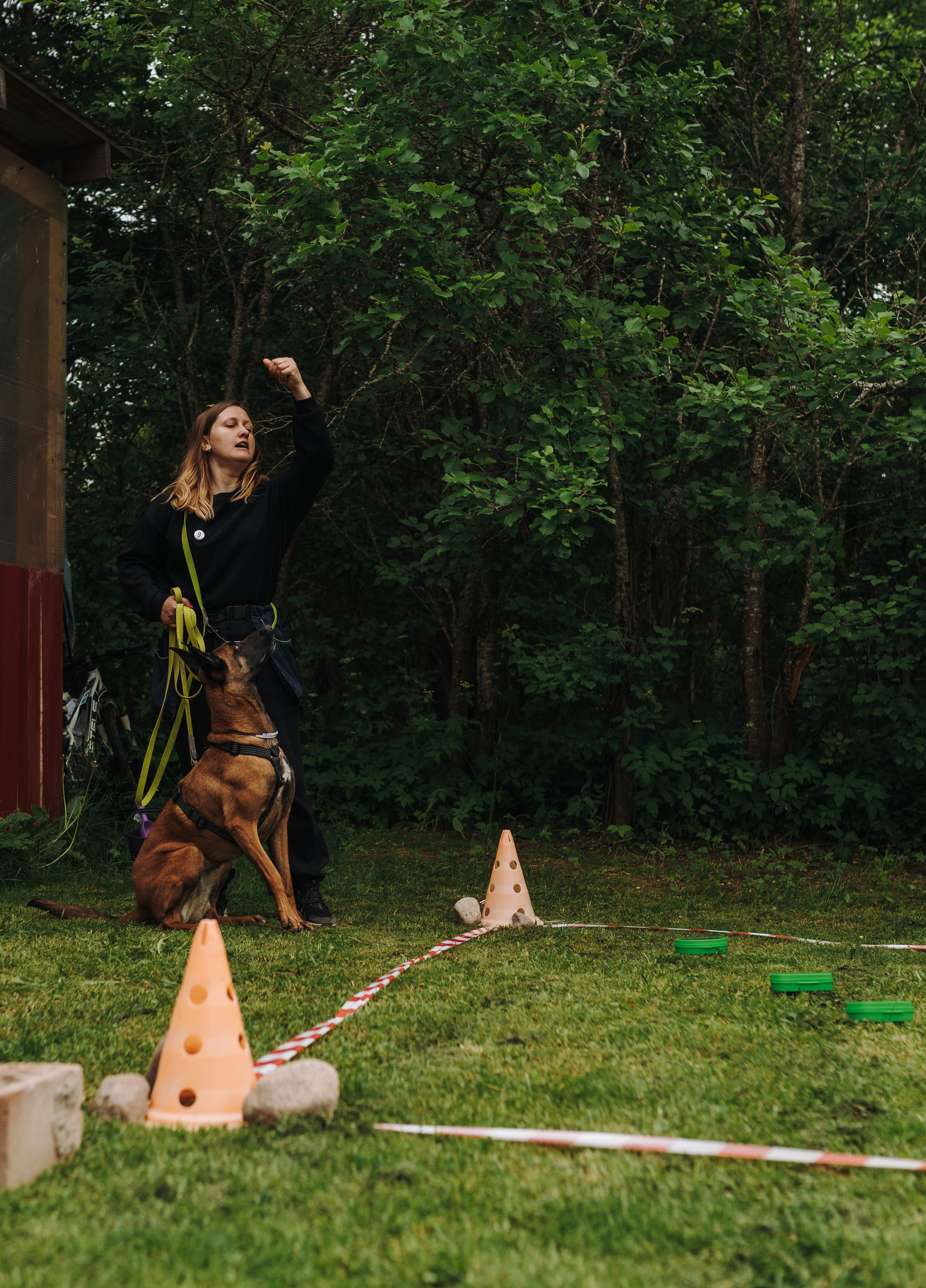 Соревнования по ноузворку. Фотограф анималист в Спб недорого Олеся Майорова
