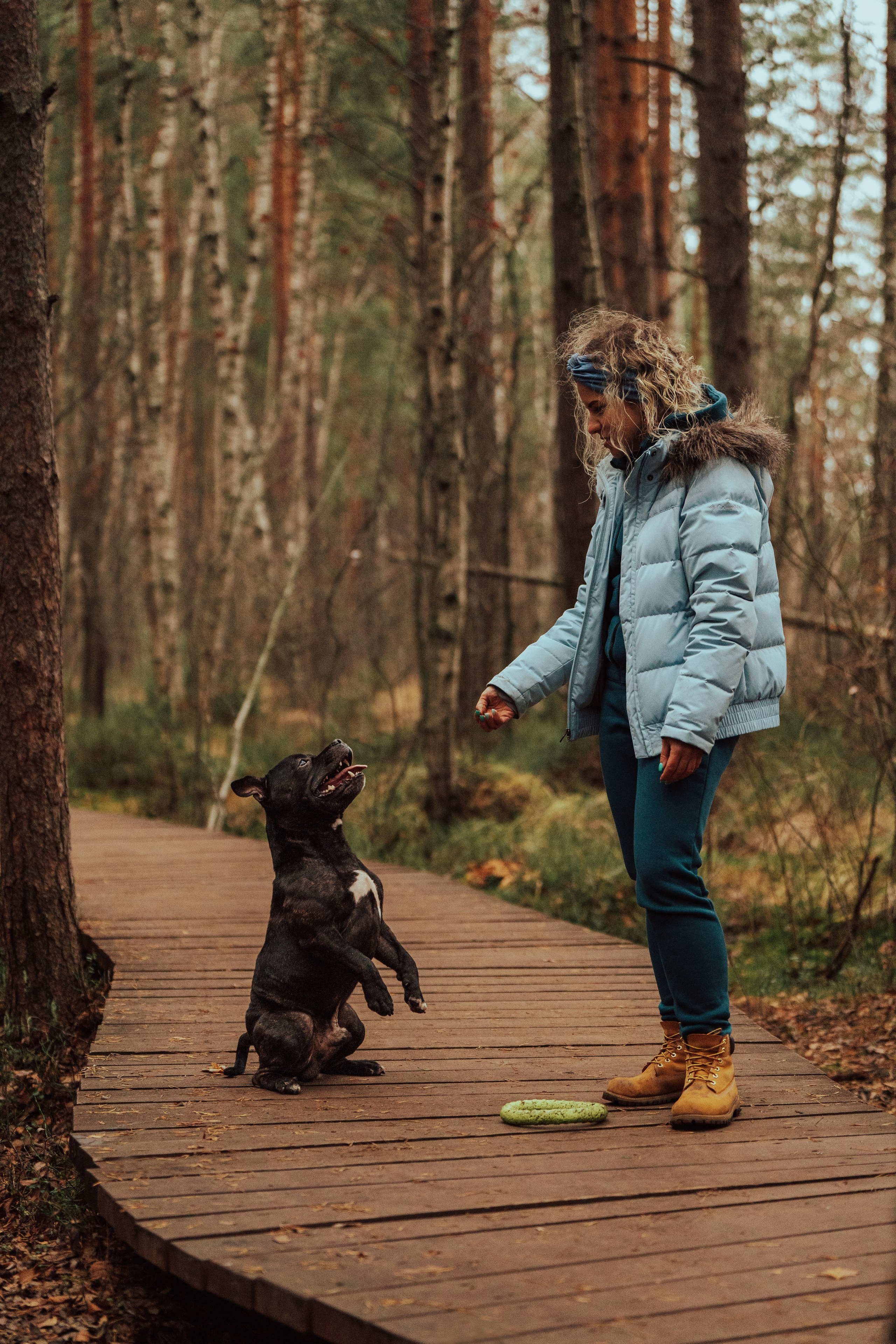 Фотограф анималист в Санкт-Петербурге. Фотограф анималист в Спб недорого Олеся Майорова