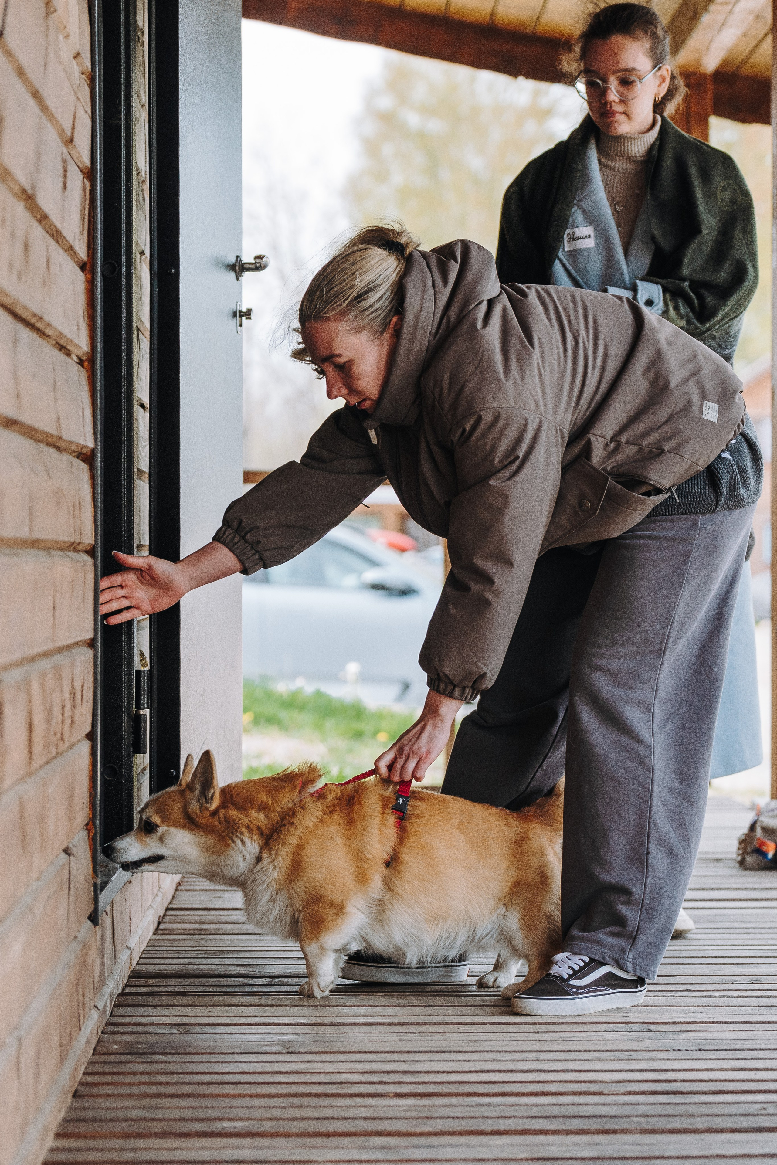 Соревнования по ноузворку в Лосево. Фотограф анималист в Спб недорого Олеся Майорова