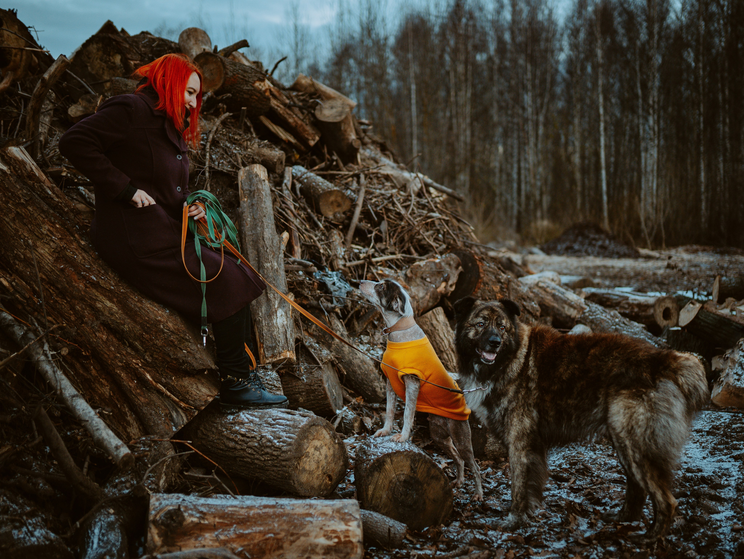 Творческая фотосессия фотографа анималиста. Фотограф анималист в Спб недорого Олеся Майорова