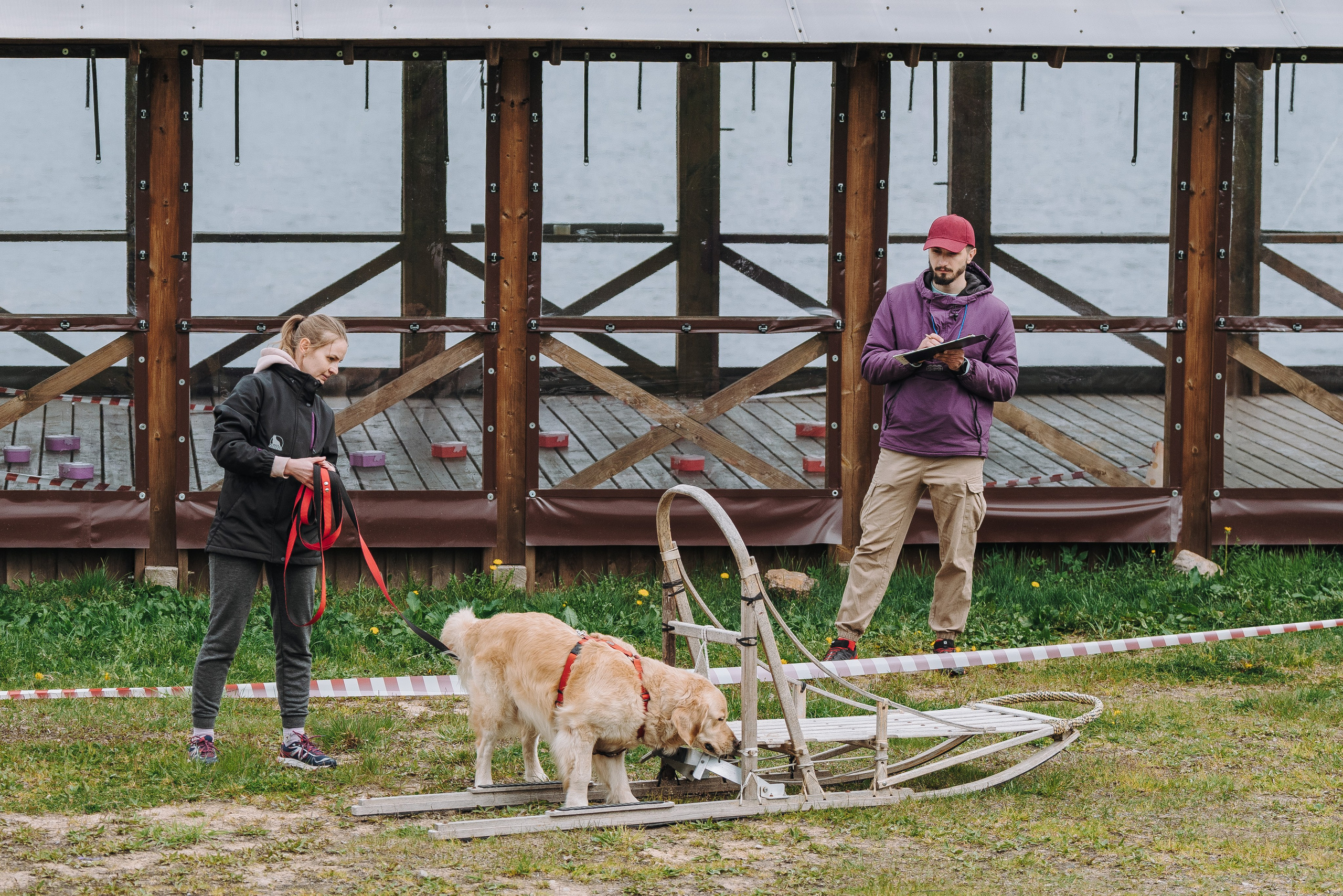 Соревнования по ноузворку в Лосево. Фотограф анималист в Спб недорого Олеся Майорова