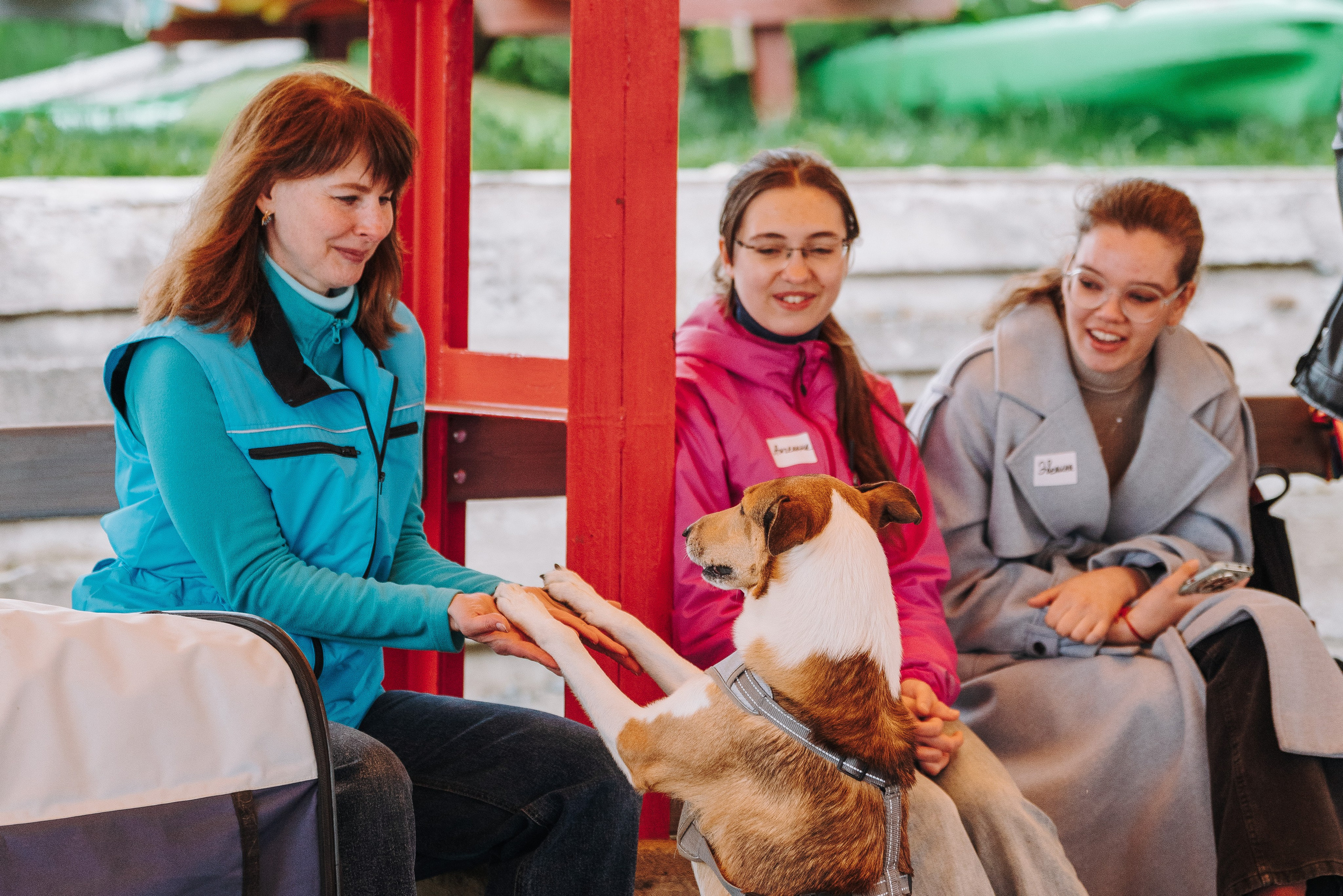 Соревнования по ноузворку в Лосево. Фотограф анималист в Спб недорого Олеся Майорова