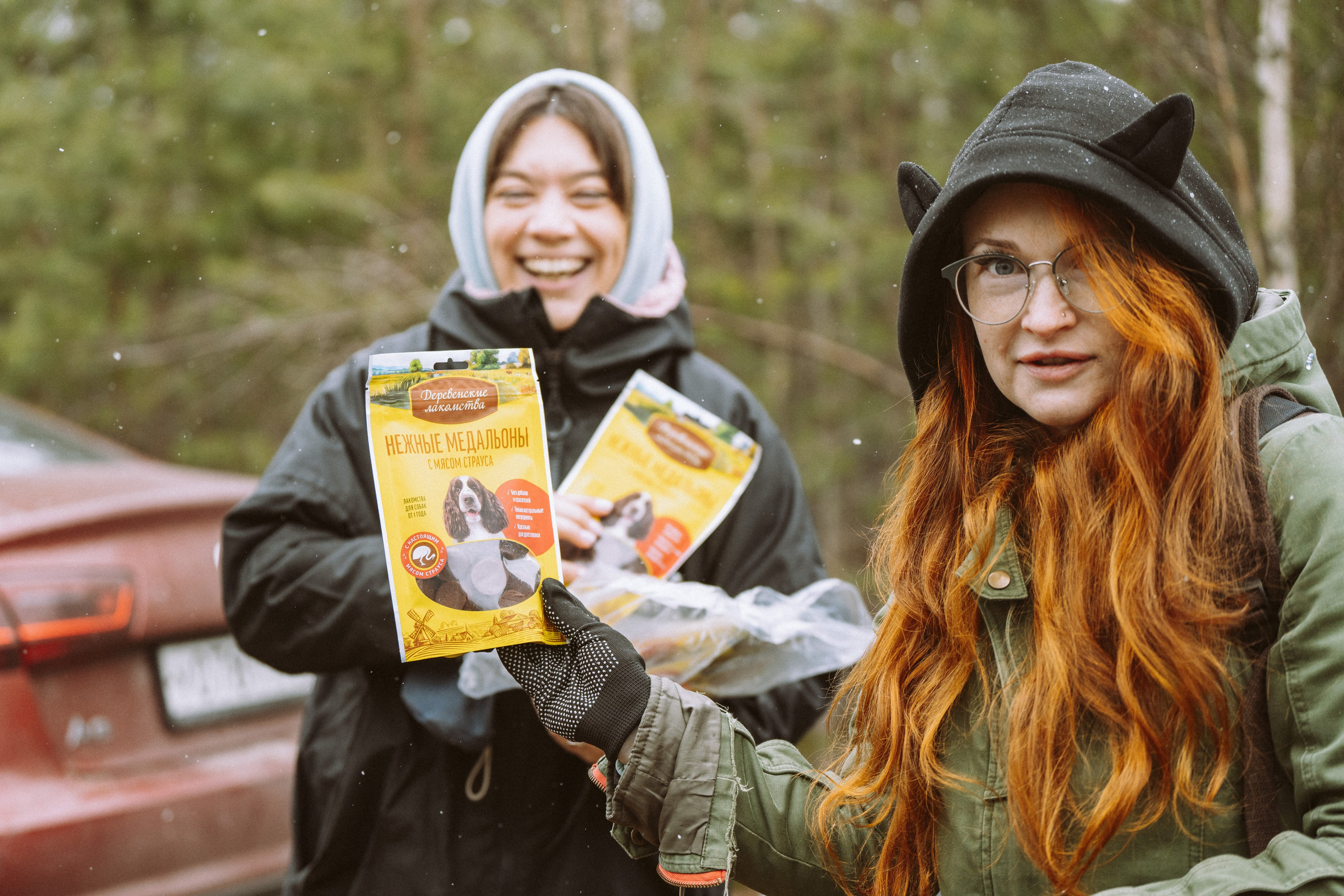 Дог трекинг к финскому хутору. Фотограф анималист в Спб недорого Олеся Майорова