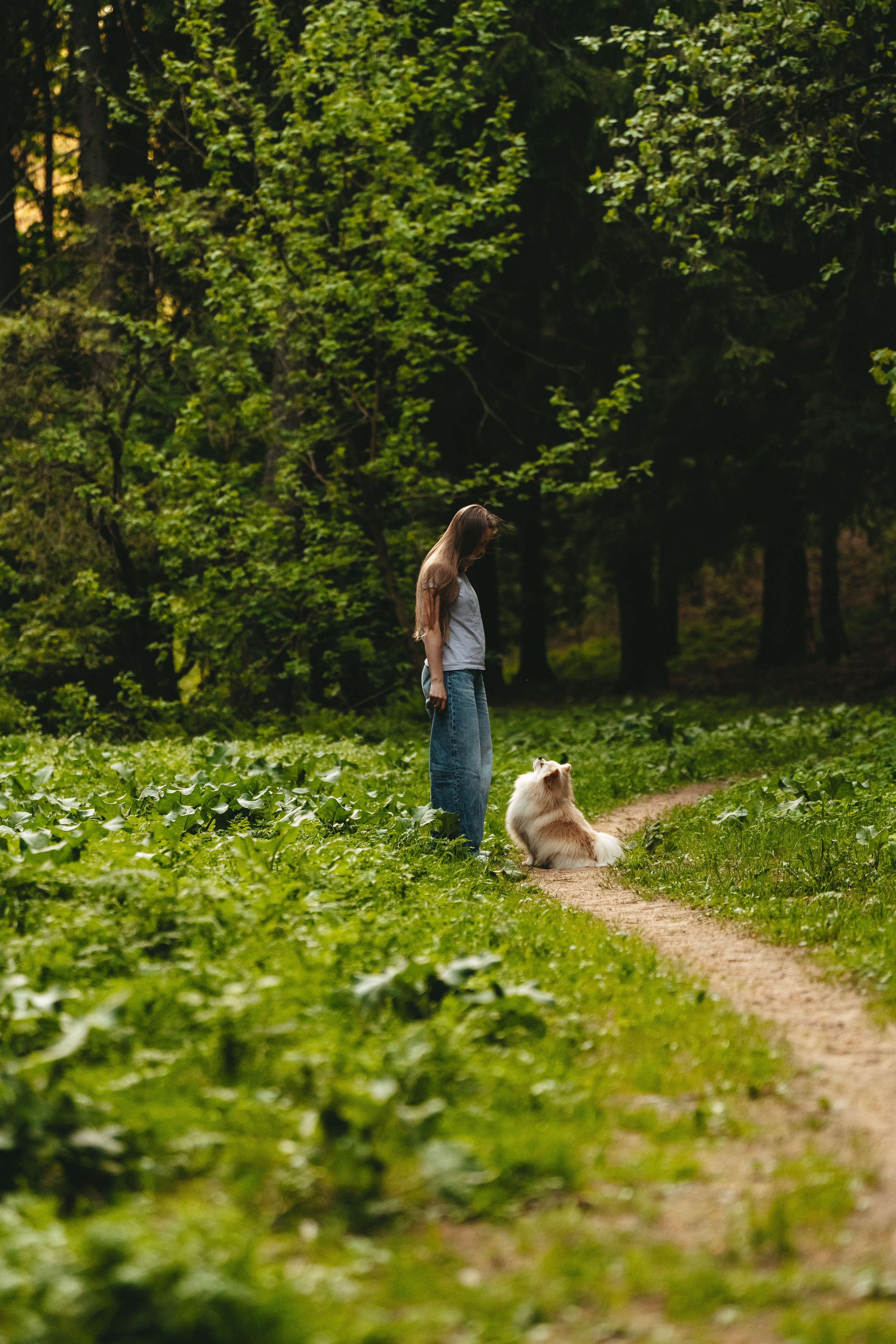 Фотосессия с собачкой в лесу. Фотограф анималист в Спб недорого Олеся Майорова