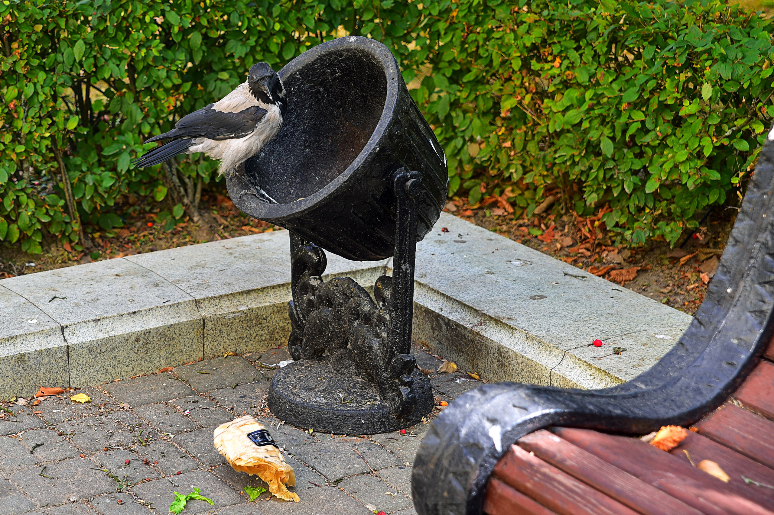 В моем портфолио вы найдете лучшие работы, которые демонстрируют мой стиль. Фотоуслуги, услуги фотографа, фотографирование важных событий