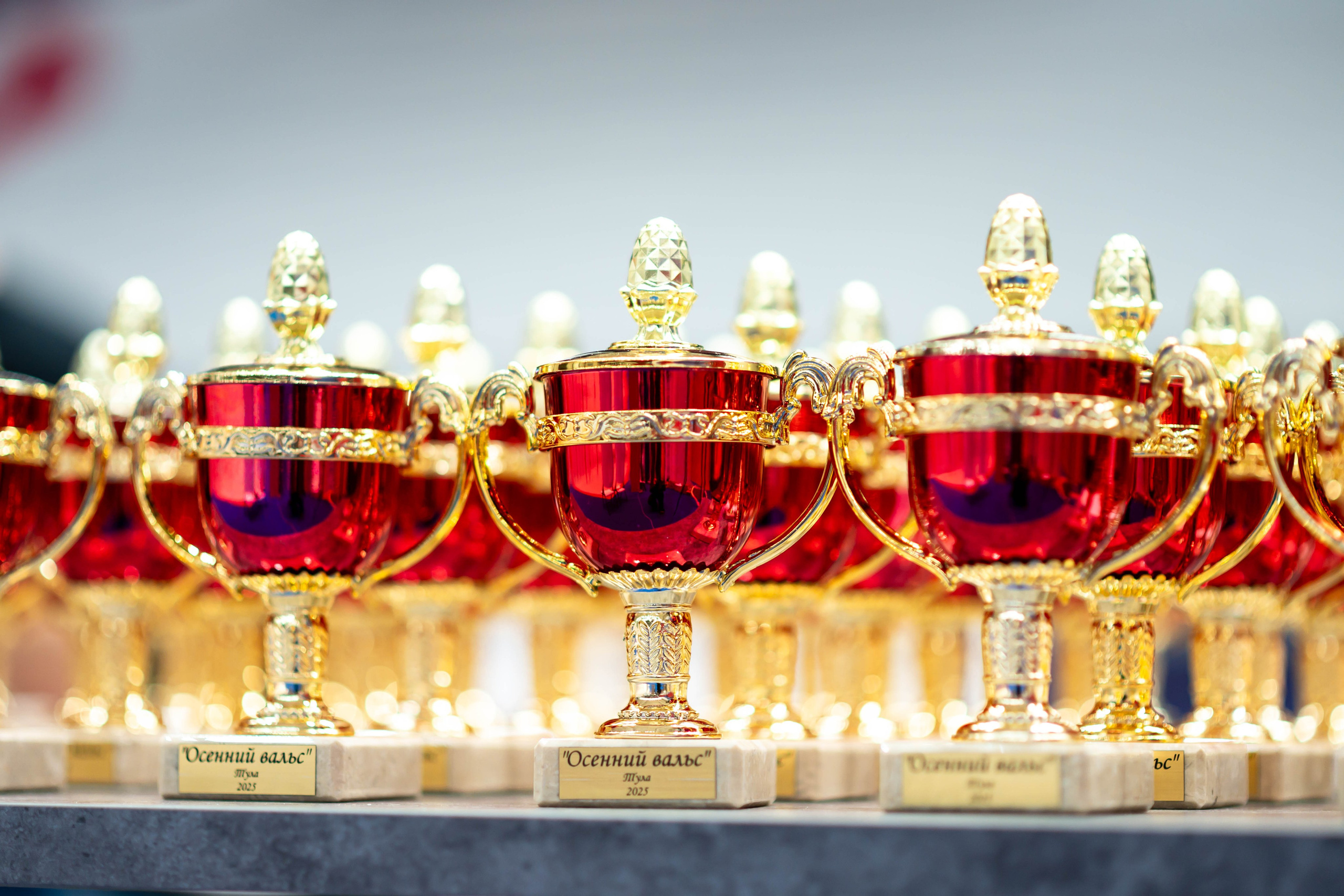 Турнир «Осенний вальс» СК Алина. Сентябрь, 2025. Спортивный фотограф в Туле и Тульской области. Файсханова Фото Спорт