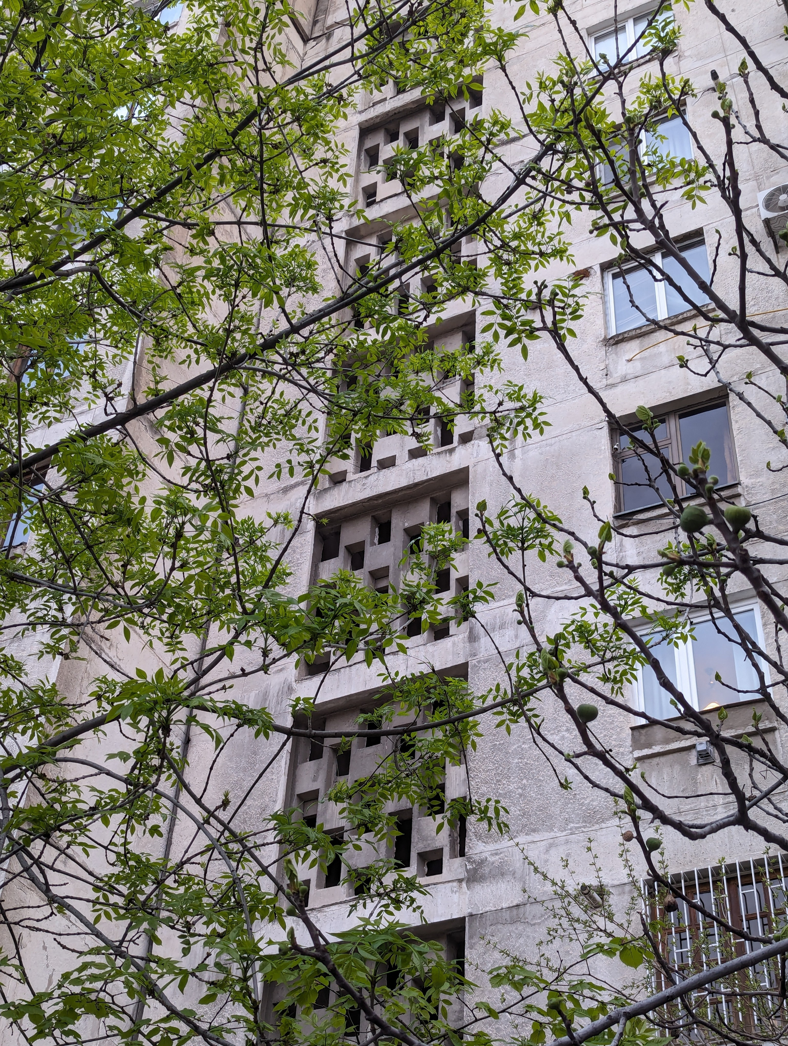 Мария Кутузова, Вера Санина-Гвоздикова