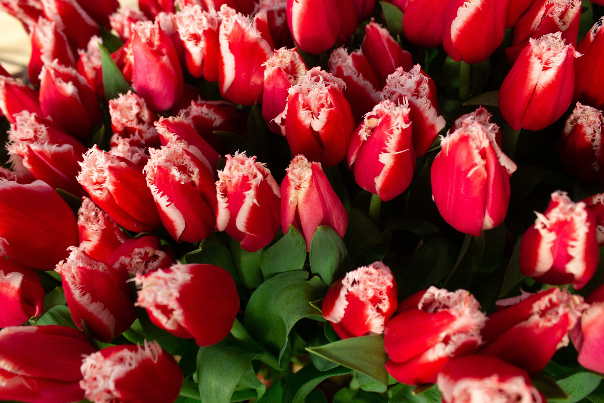 Контакты. Виктория Ларина — Портретный профессиональный фотограф в Иркутске