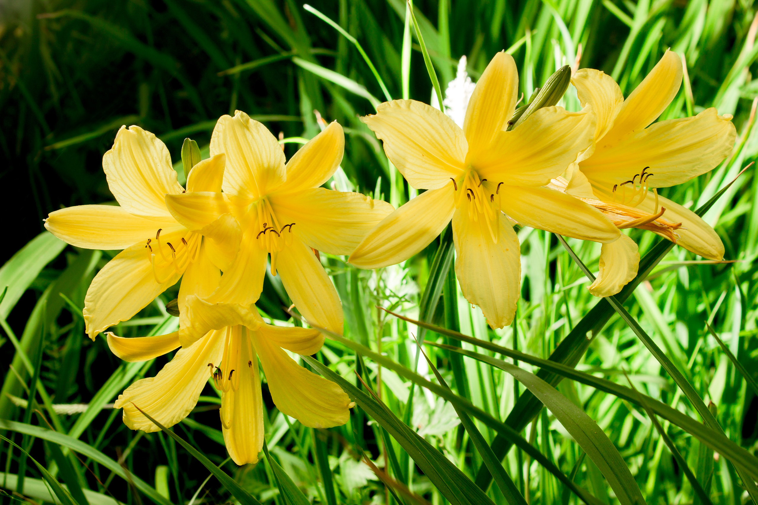 Контакты. Виктория Ларина — Портретный профессиональный фотограф в Иркутске