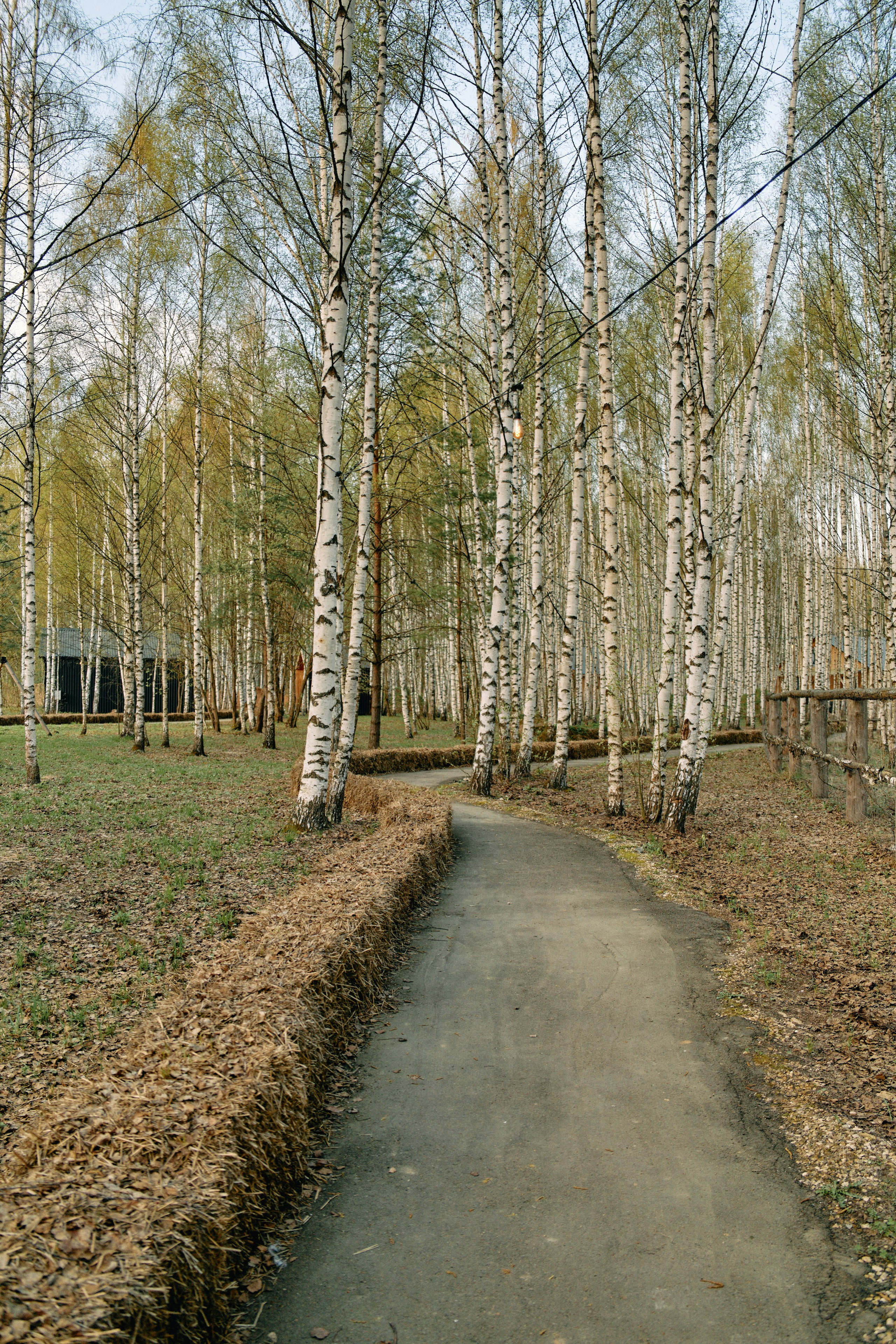 Бутик-отель Поле летом. Профессиональный Фотограф во Владимире, в Москве и в Суздале — Полина Романычева