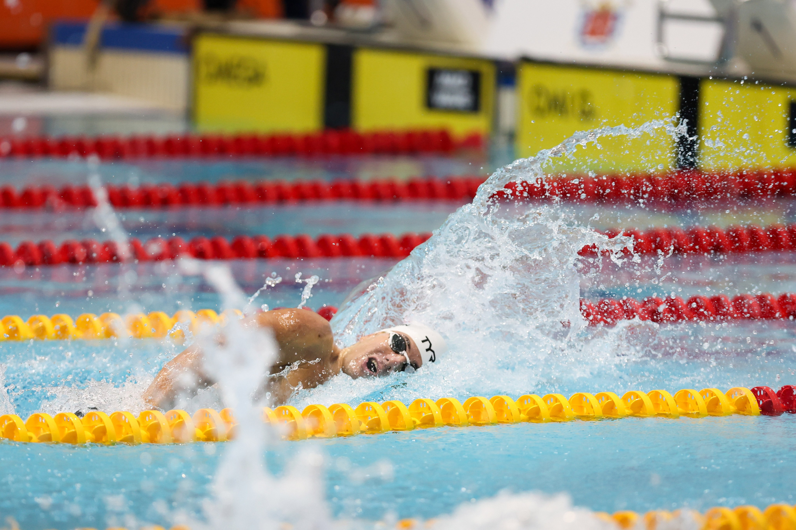 Чемпионат России по плаванию 25 м 20-25.11.2023. Спортивный и репортажный фотограф Антон Тереханов