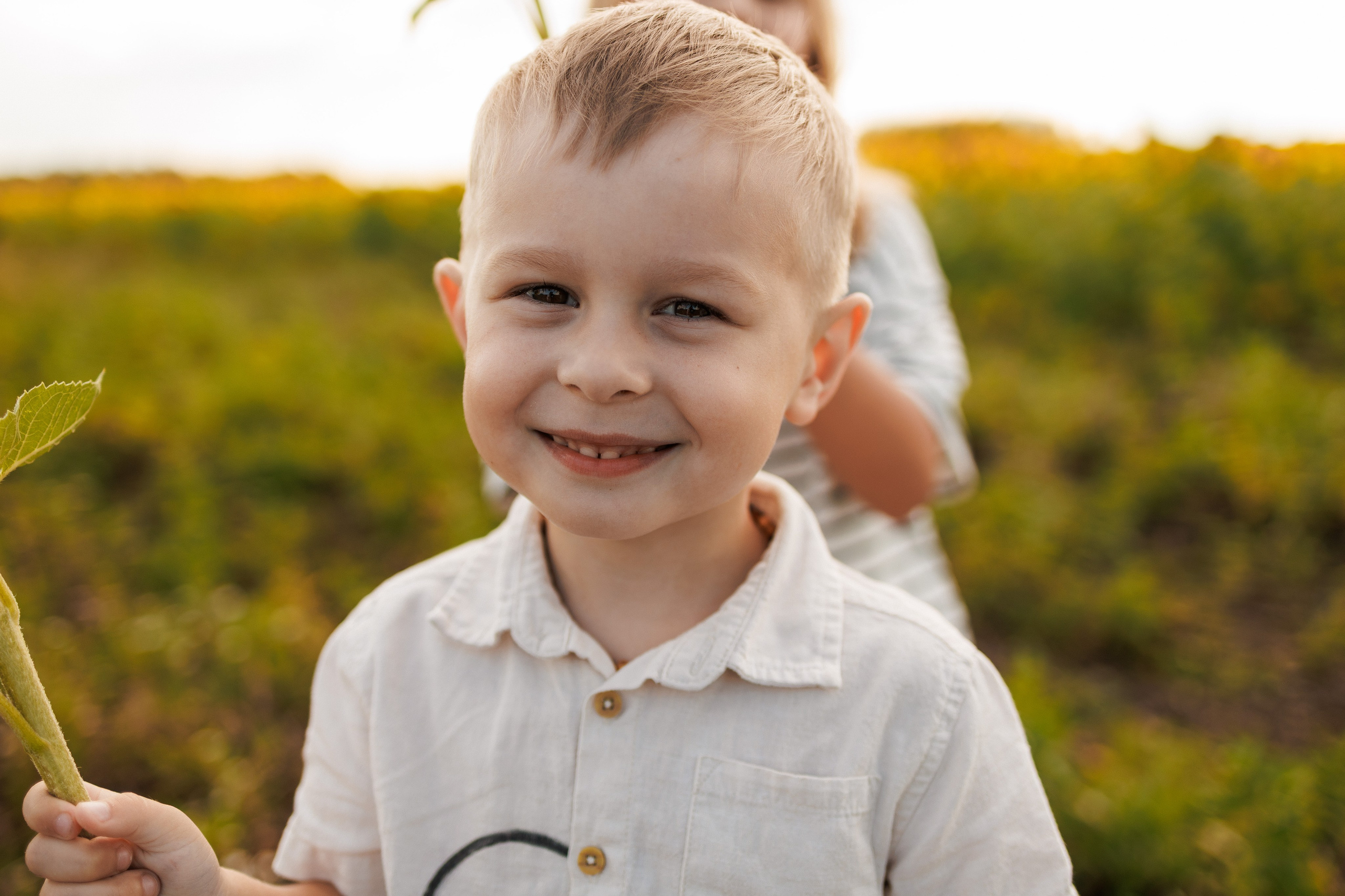 В поле подсолнухов. Семейный фотограф г. Тюмень