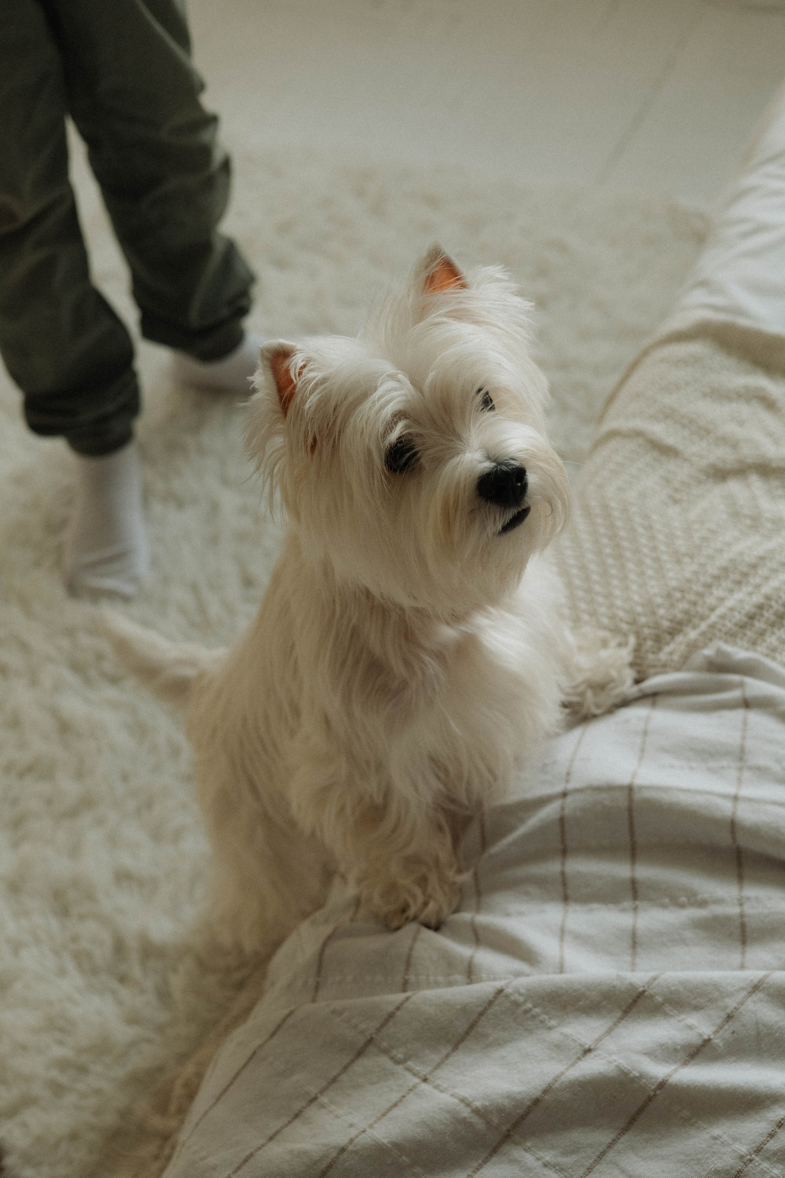 Семья Скрябиных. Семейный фотограф в Ижевске Даша Денисова