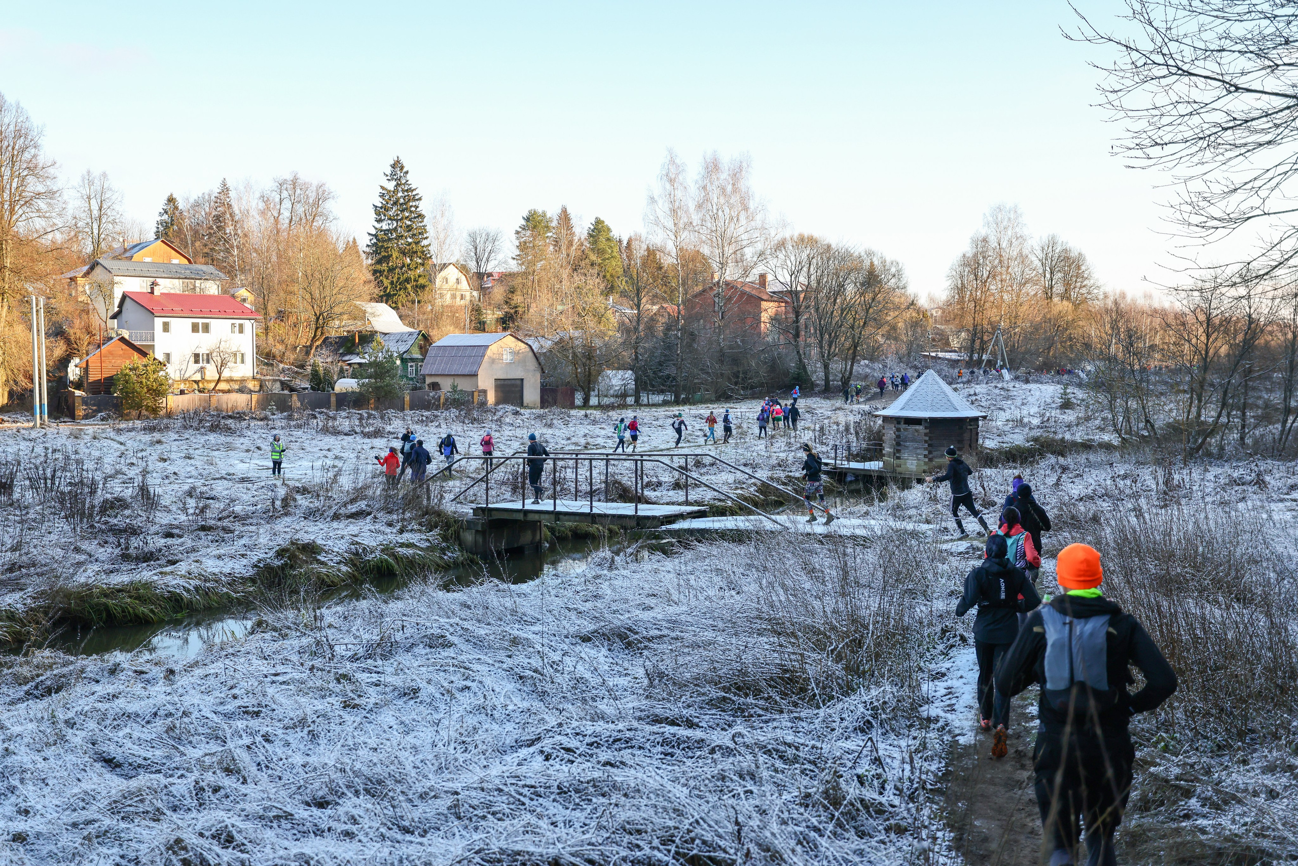 Два лепестка Химкинского марафона у дома, 23.11.25. Фотограф Сергей Ловкий