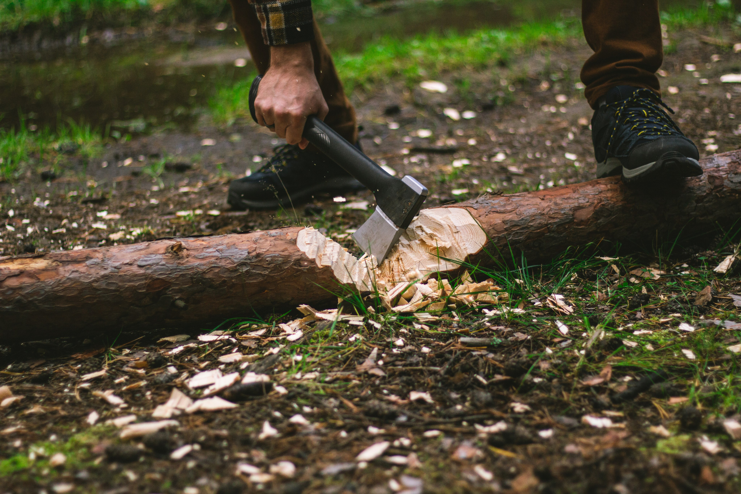 Александр и лес. Фотограф из Первоуральска Роман Заиченко