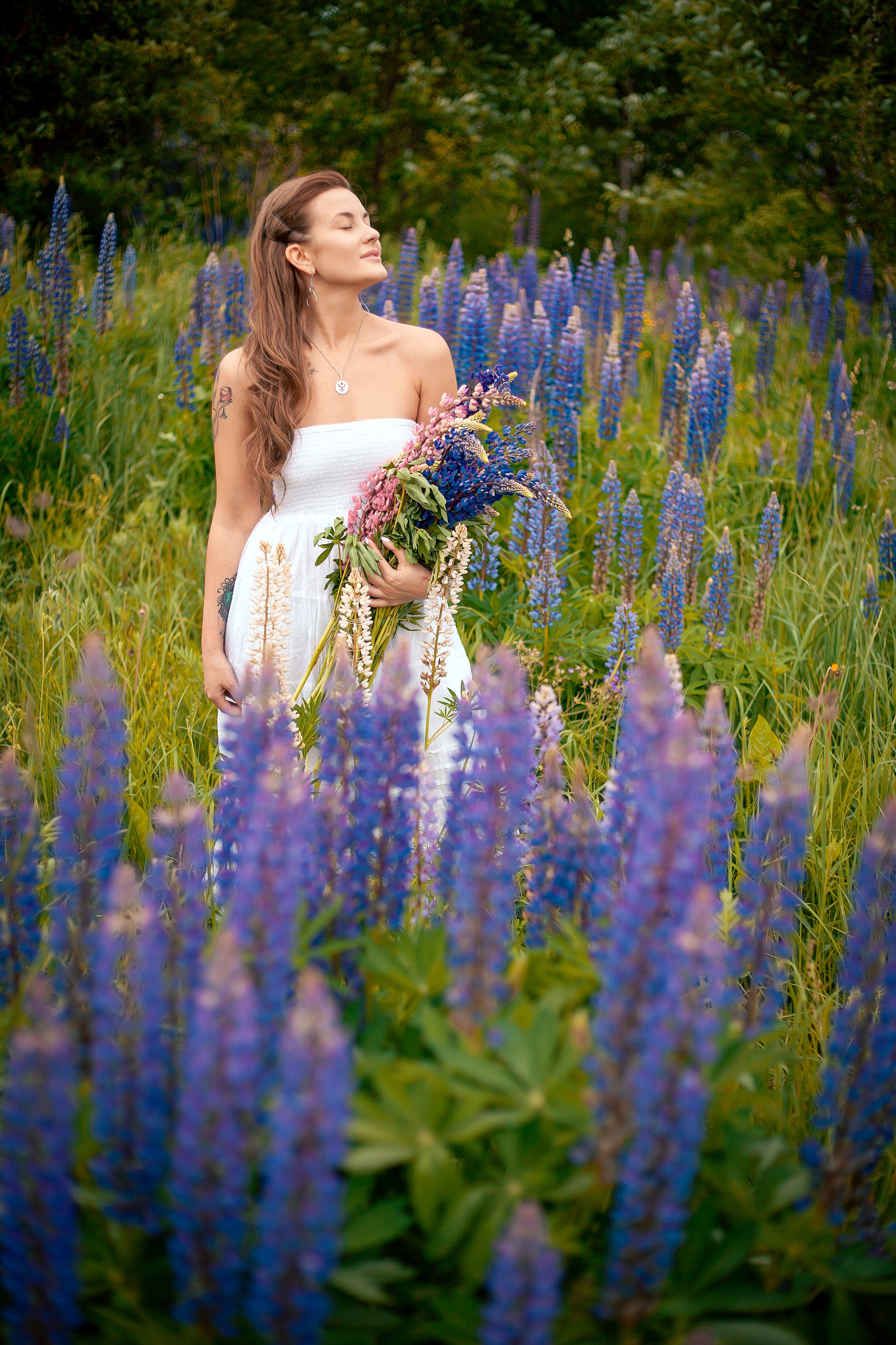 Люпины. Фотограф Мария Кольцова