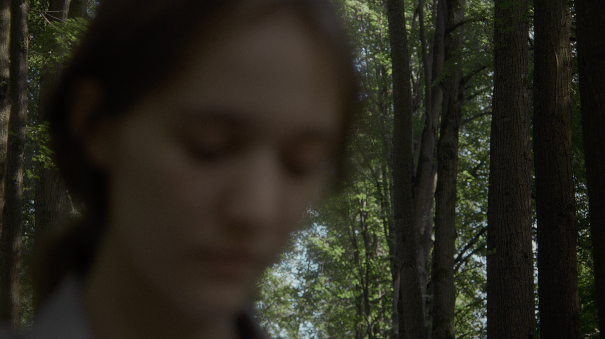 The limits of the world. Tokcolor