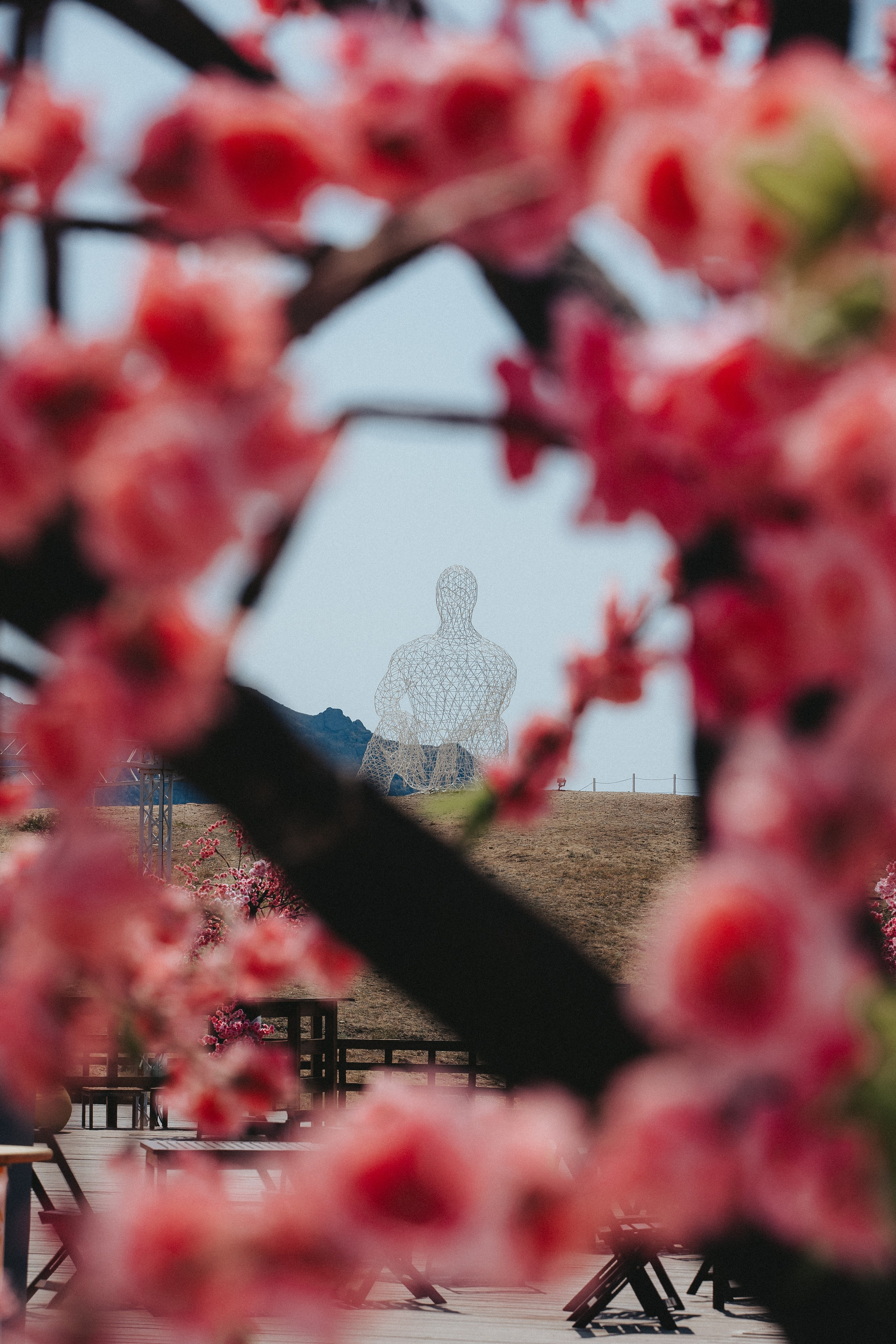 Фестиваль Таврида Арт. Izotoff Photographer