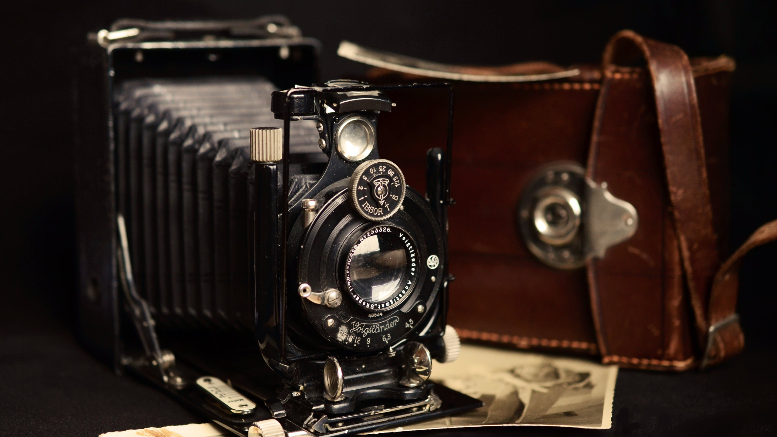 Фотограф Александр Цветков