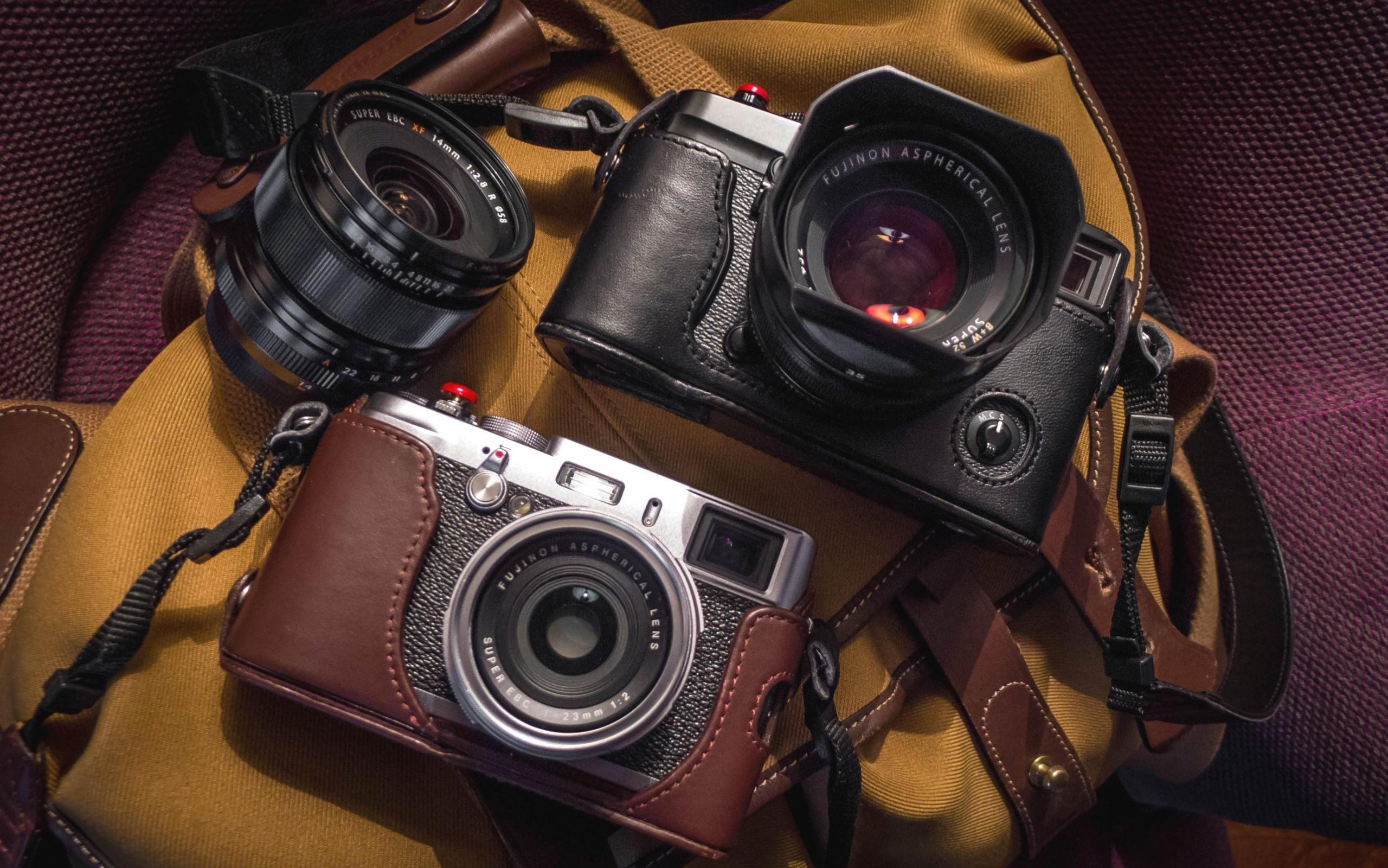 Фотограф Александр Цветков