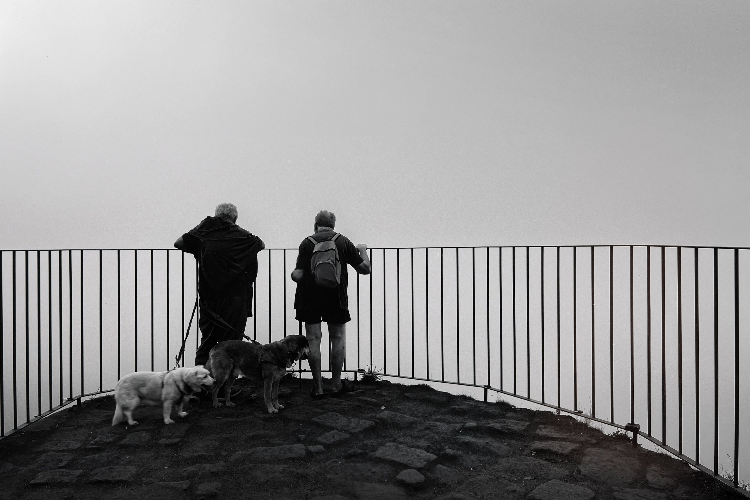 Автор: Вадим Авдейко