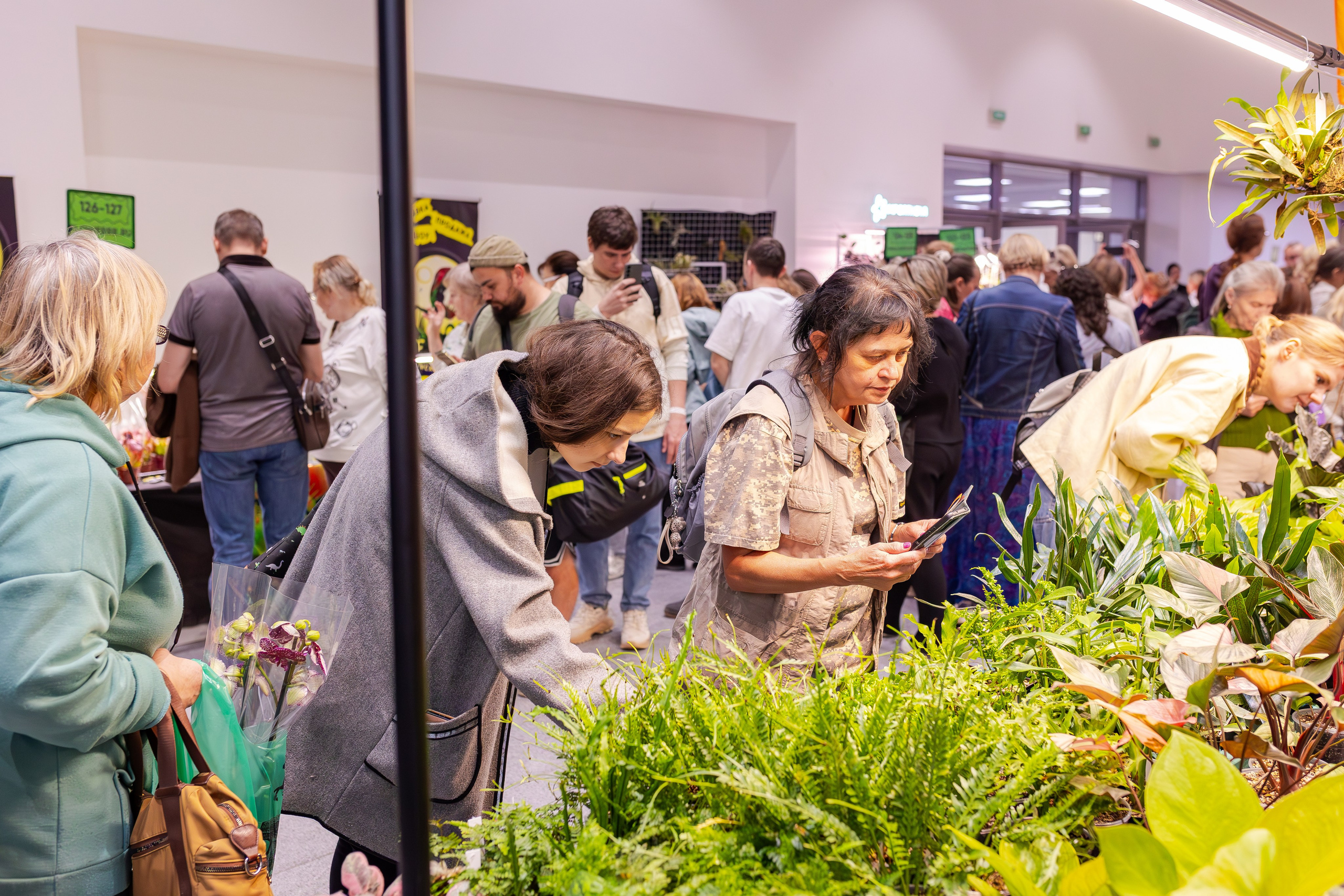 Орхидиум сентябрь 2025. Александра Куликова фотограф, Москва