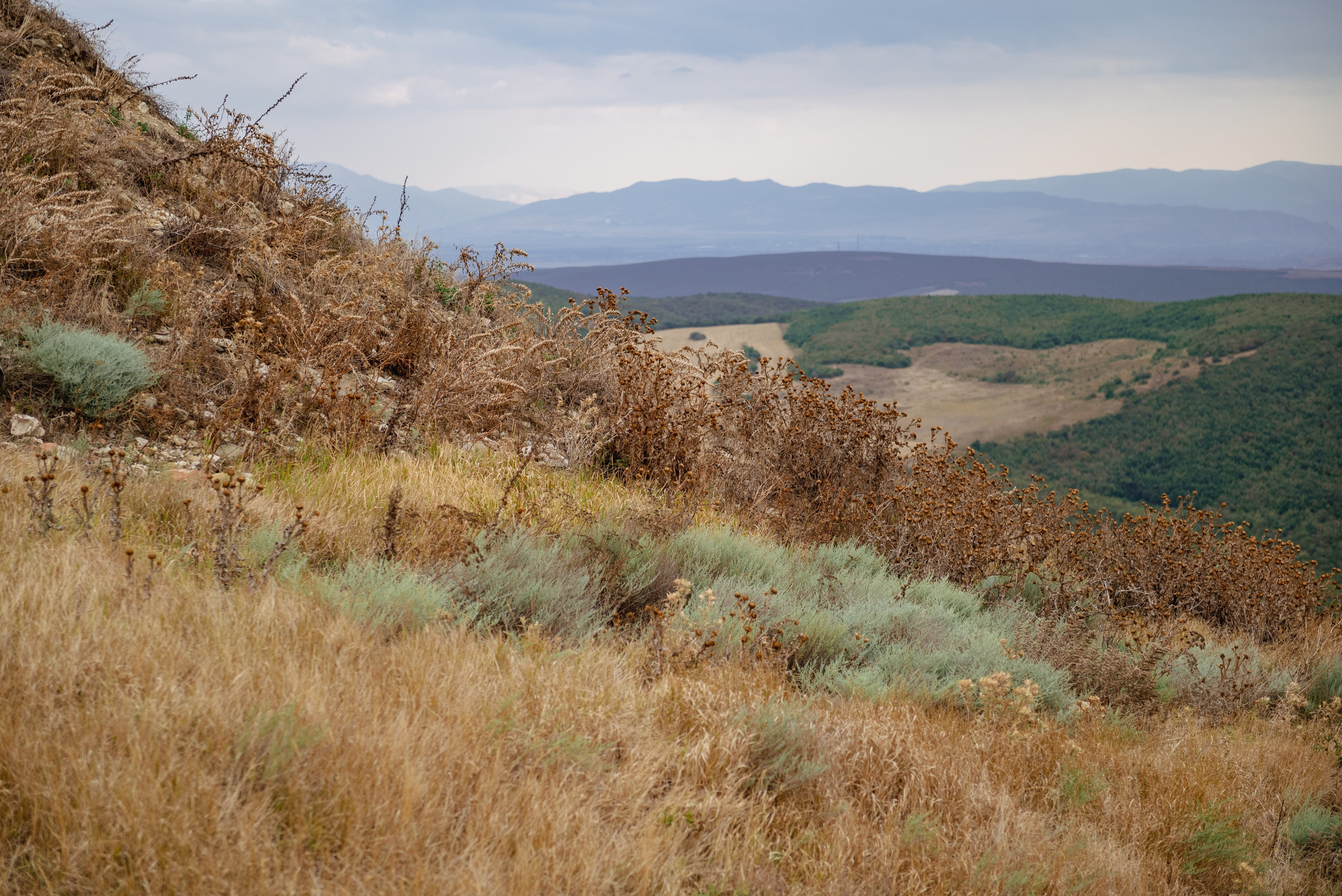 Крепость Схвило. Фотограф Лика Гомиашвили Тбилиси Грузия