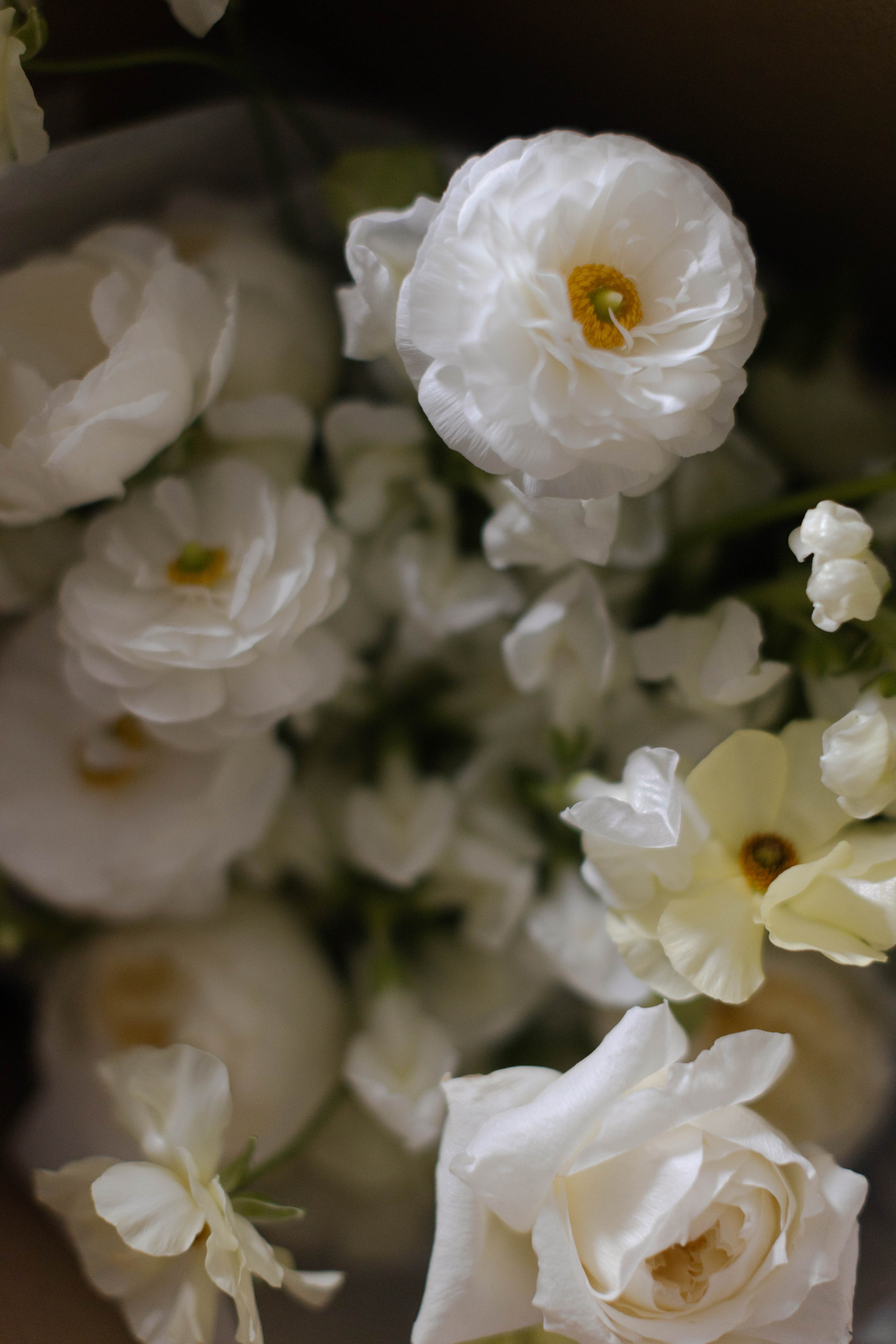 Никита и Юлия. @dariazphoto свадебный фотограф