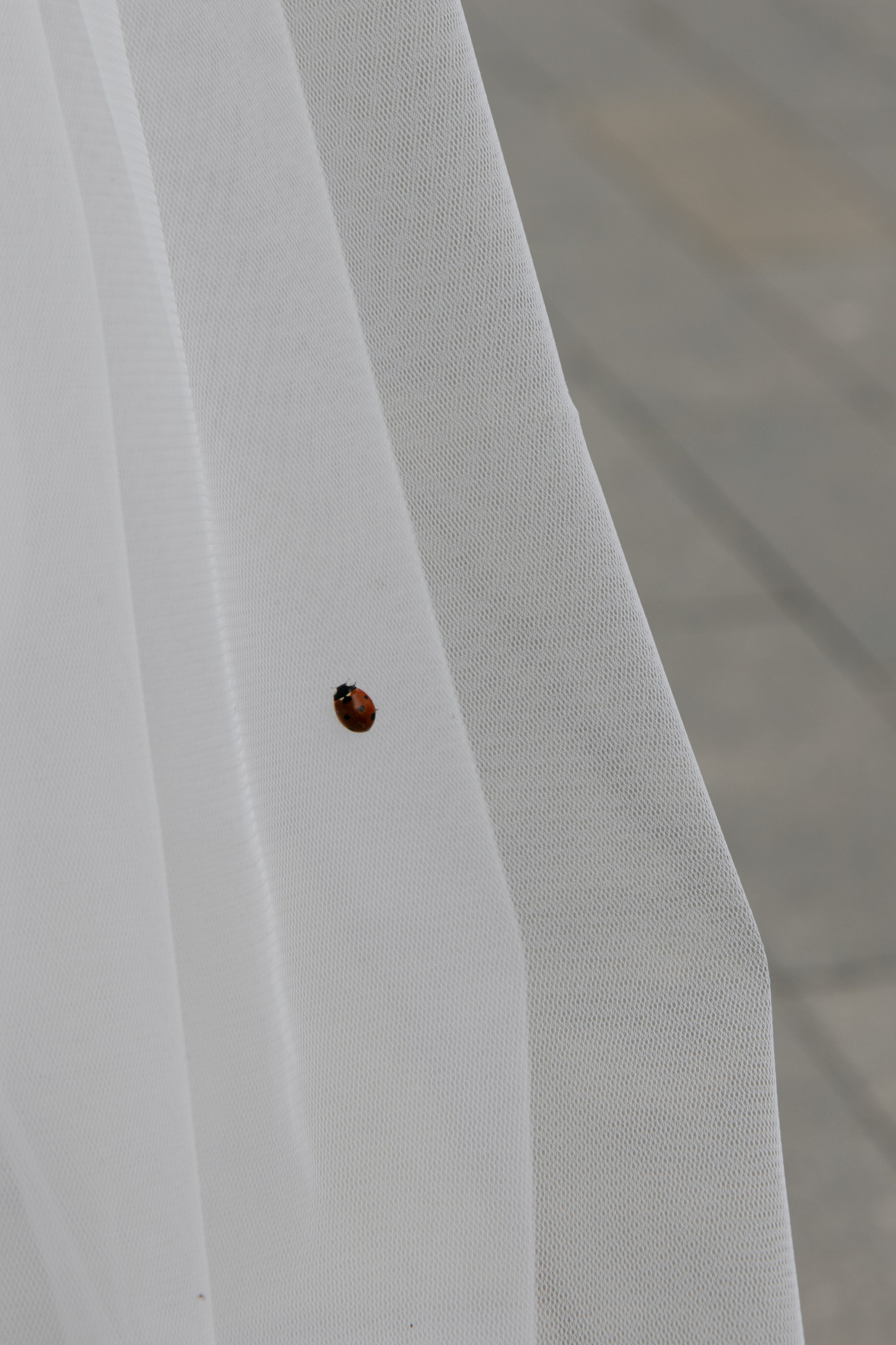 Даша и Леша. Фотограф Нижний Новгород