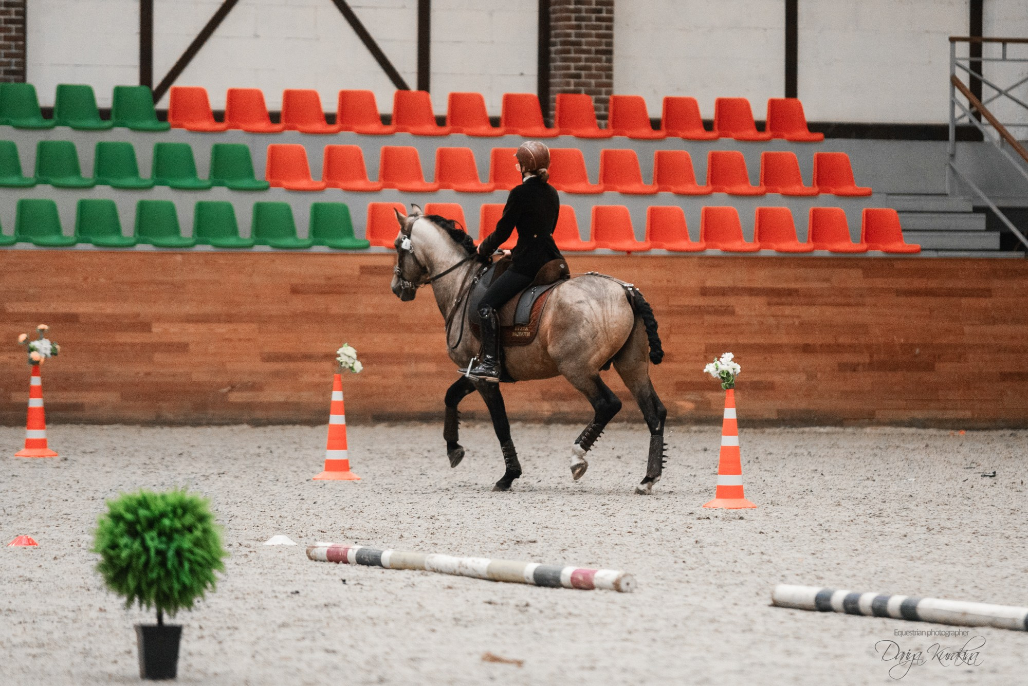 8-я международная выставка Конная Россия. Конный фотограф Куракина Дарья • Фотосессии с лошадьми
