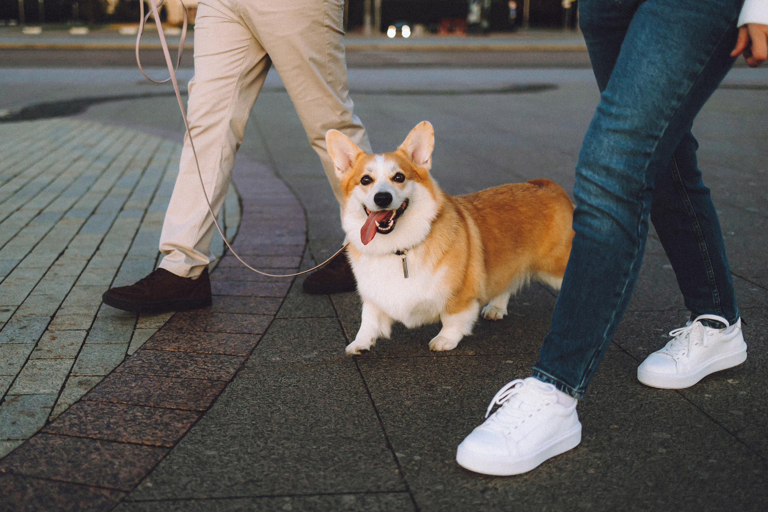 Пуговка и ее семья