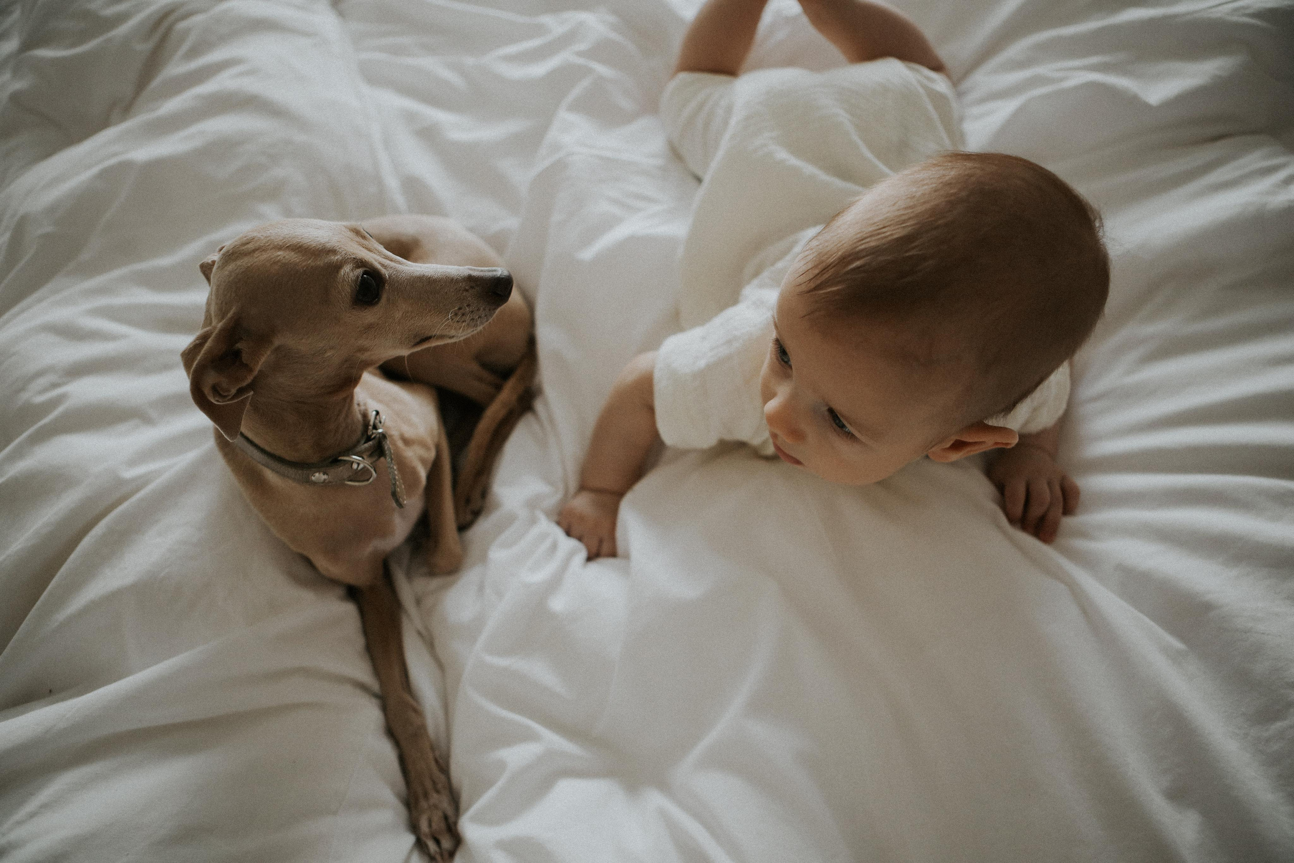 Герман, Катя и Рома. Семейный фотограф в Новороссийске и Анапе Александра Яковлева