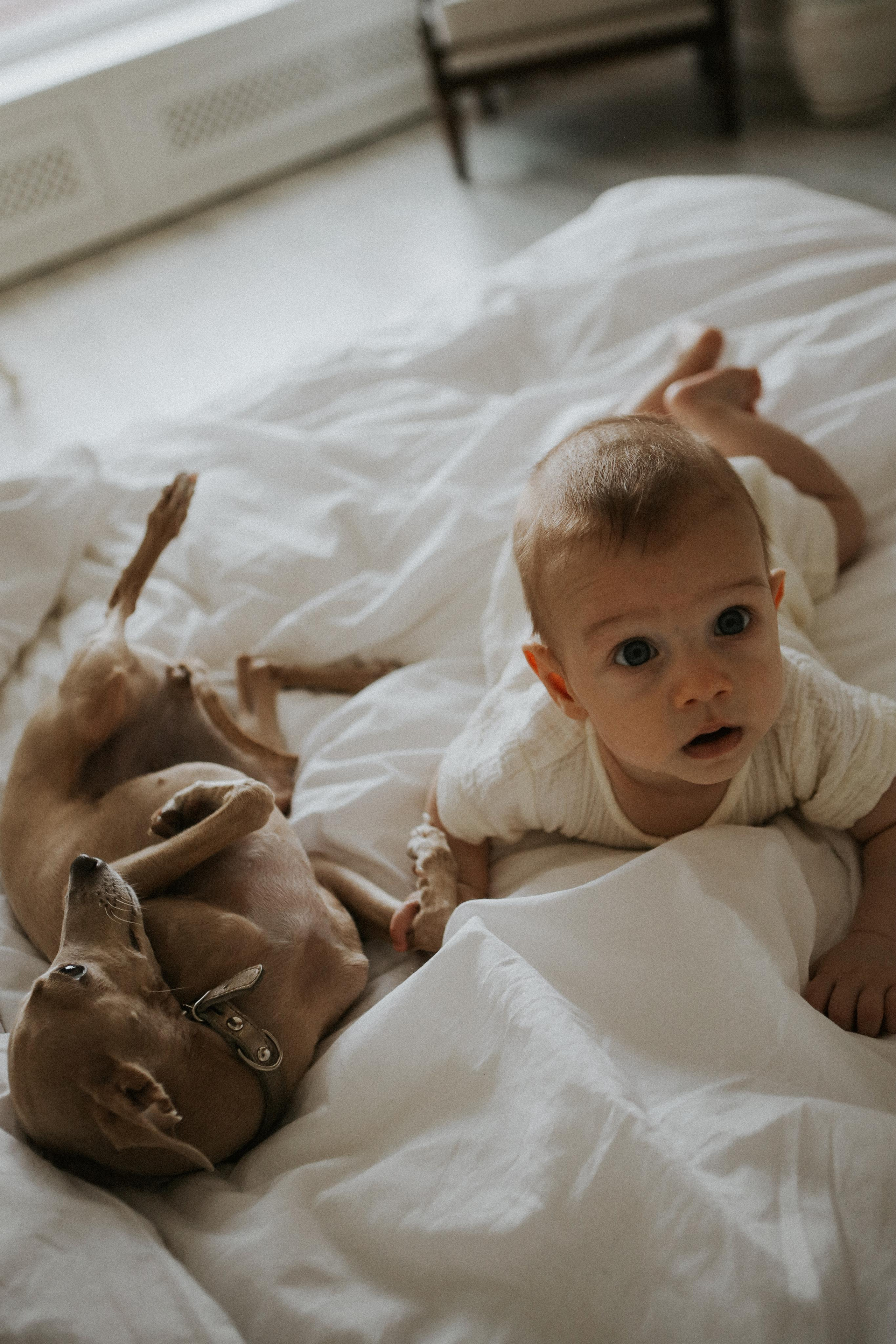 Герман, Катя и Рома. Семейный фотограф в Новороссийске и Анапе Александра Яковлева