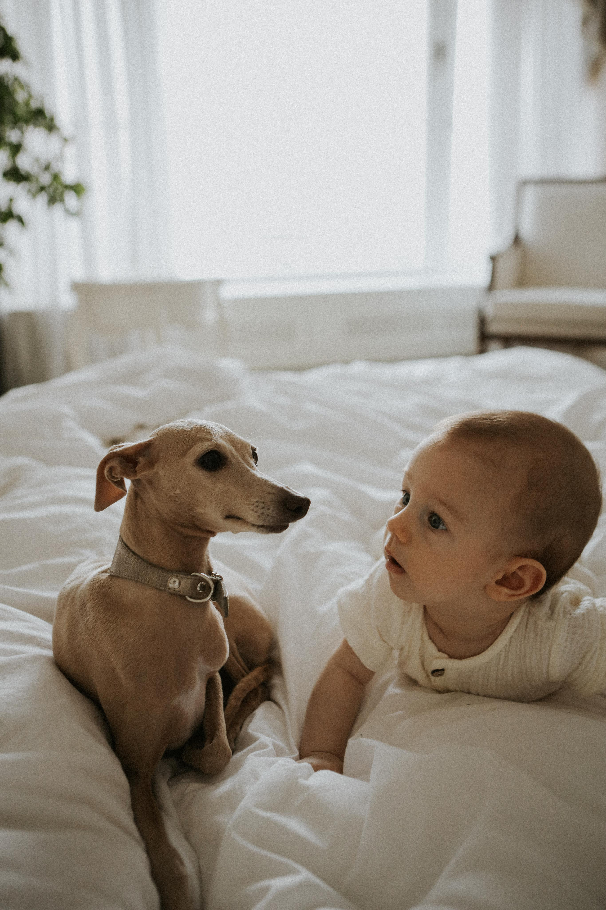 Герман, Катя и Рома. Семейный фотограф в Новороссийске и Анапе Александра Яковлева