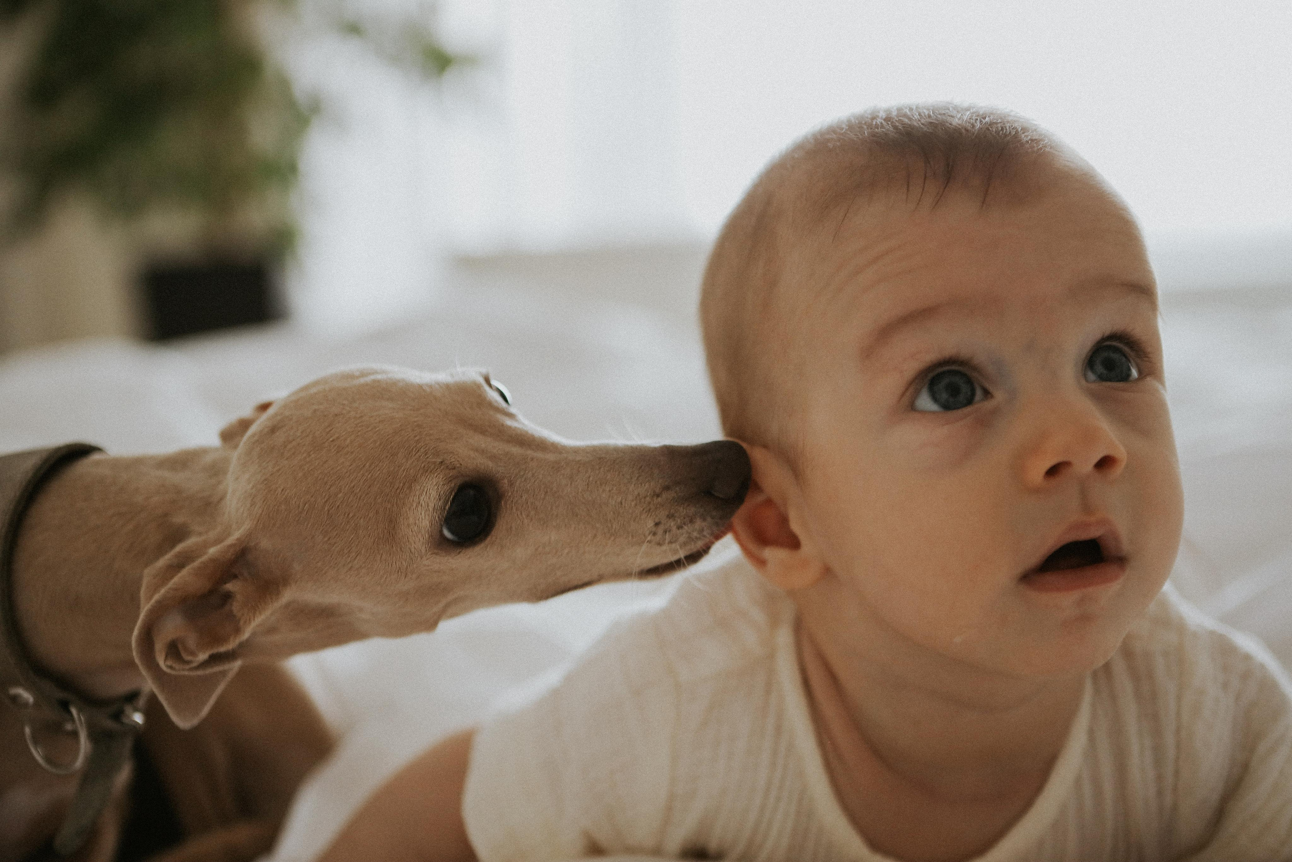 Герман, Катя и Рома. Семейный фотограф в Новороссийске и Анапе Александра Яковлева