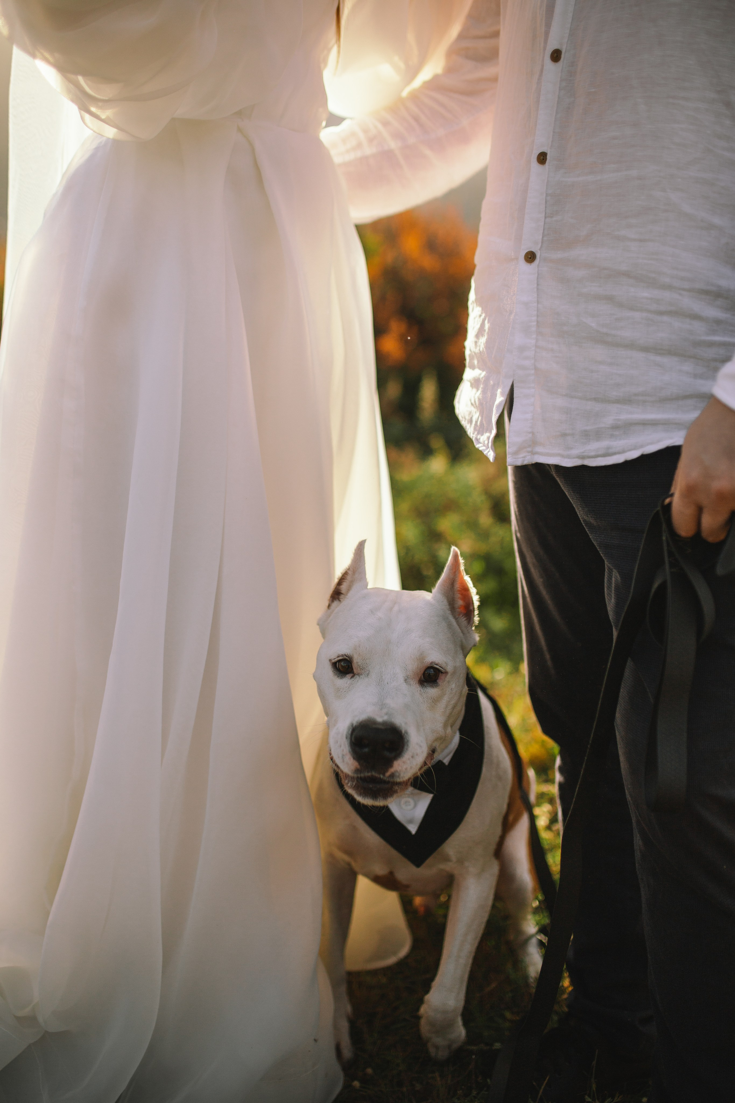 Свадебное. Фотограф Горный Алтай