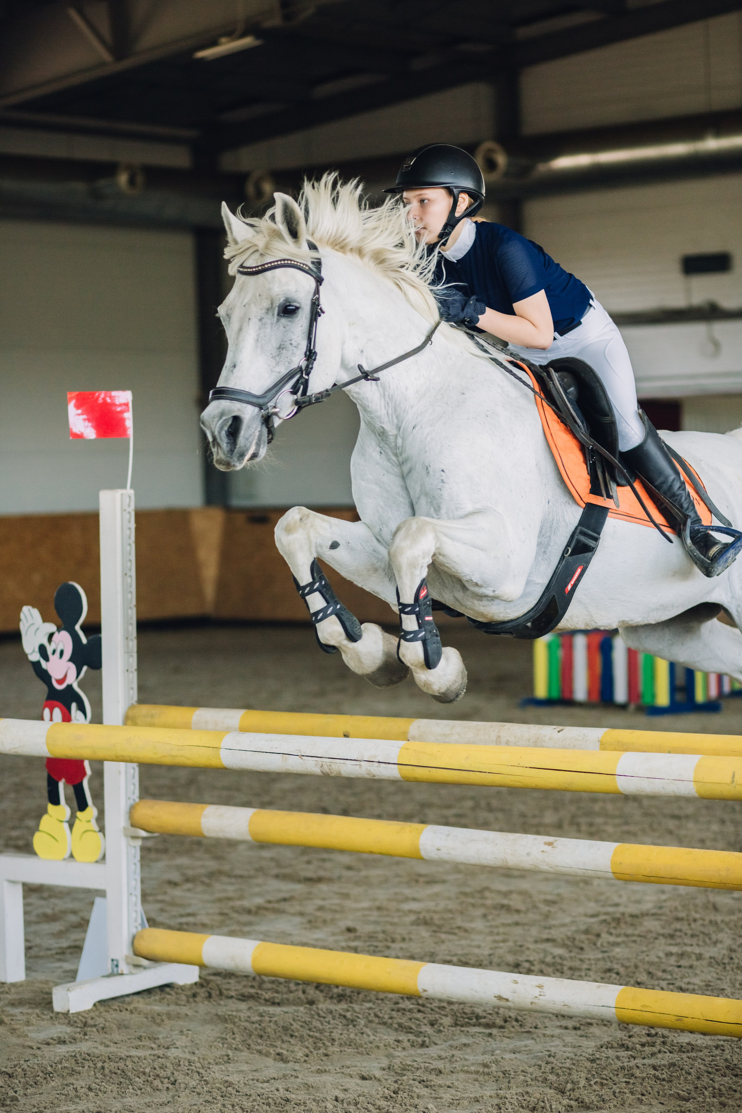 Соревнования. Ольга Белова. Портреты с лошадьми. Конная фотография