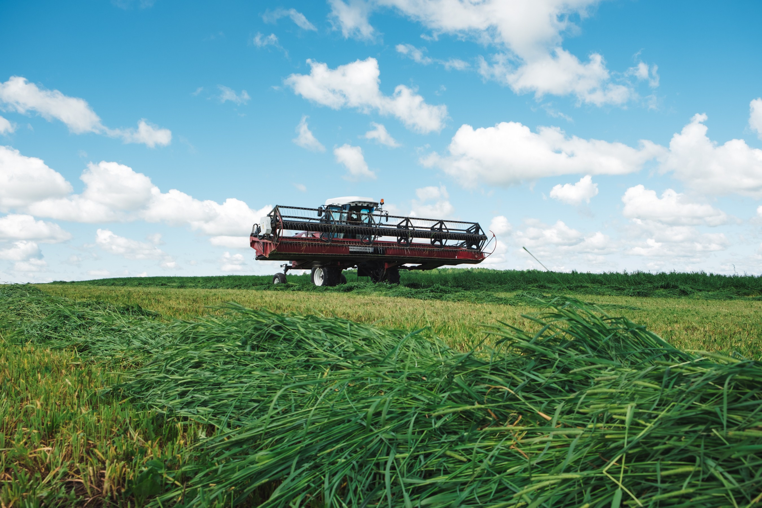 «Вятушка» и «РОСТСЕЛЬМАШ». Varankin denis