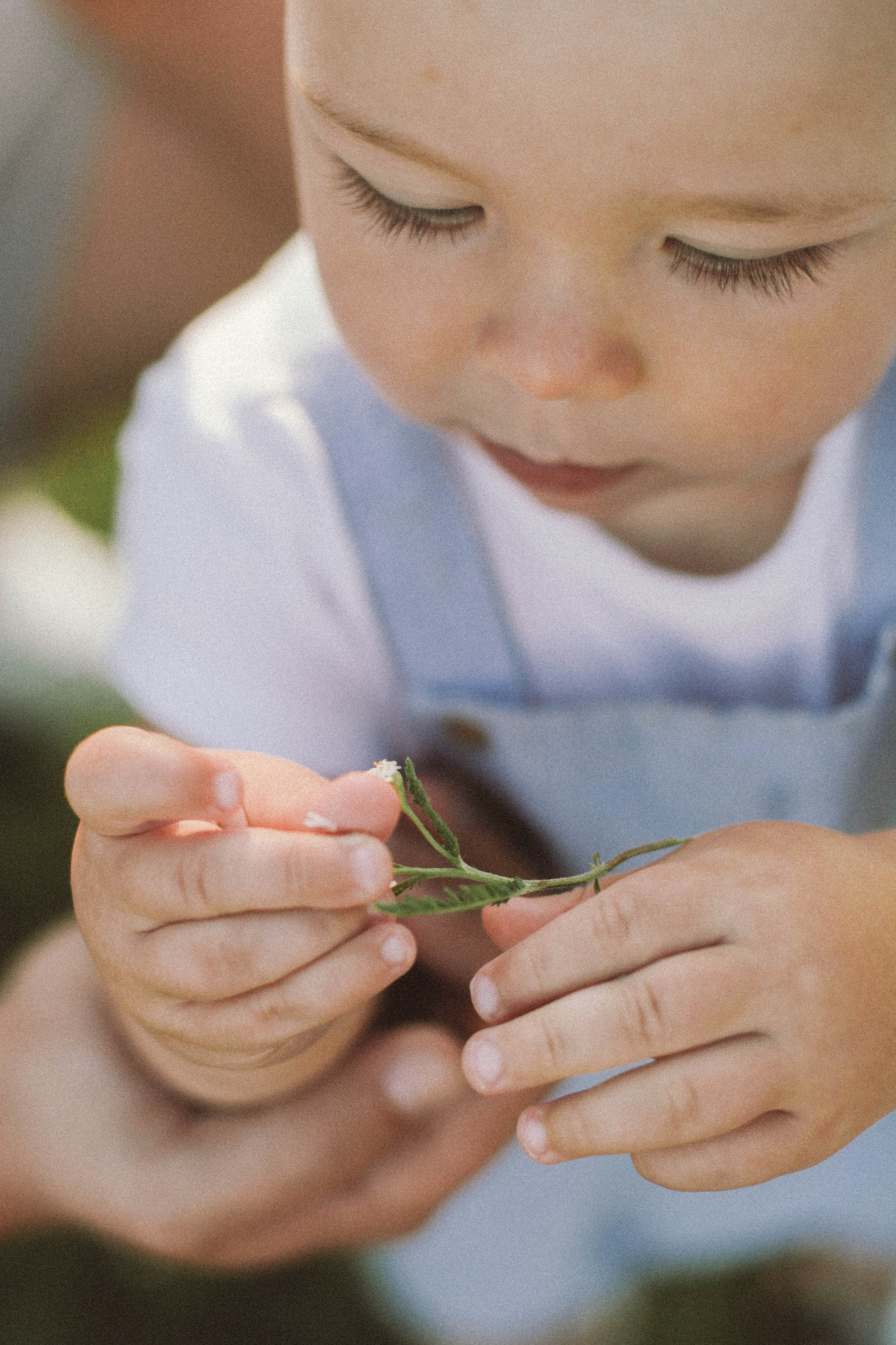 Семейные съемки