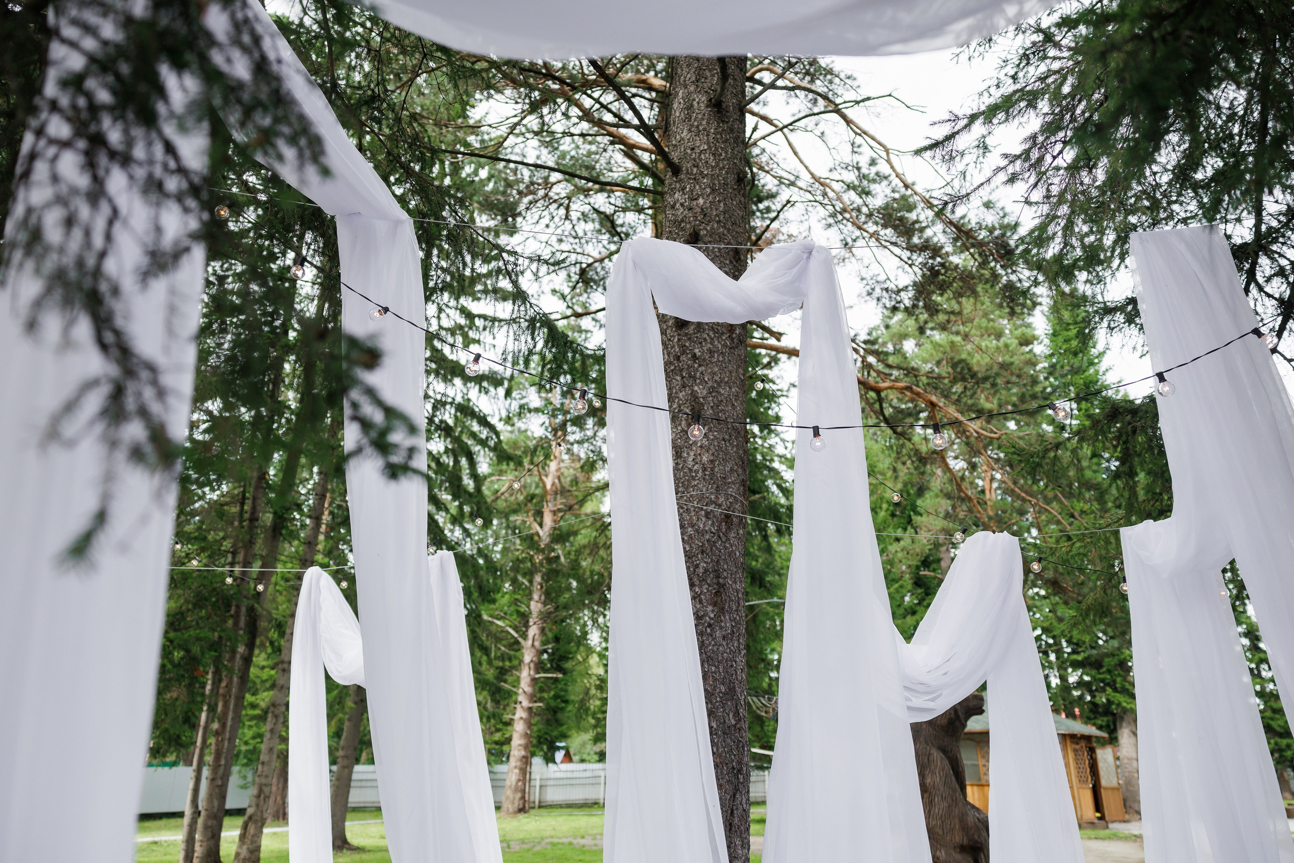 Свадебный фотограф Новокузнецк. Фотограф в Новокузнецке Бахтияр Омуров