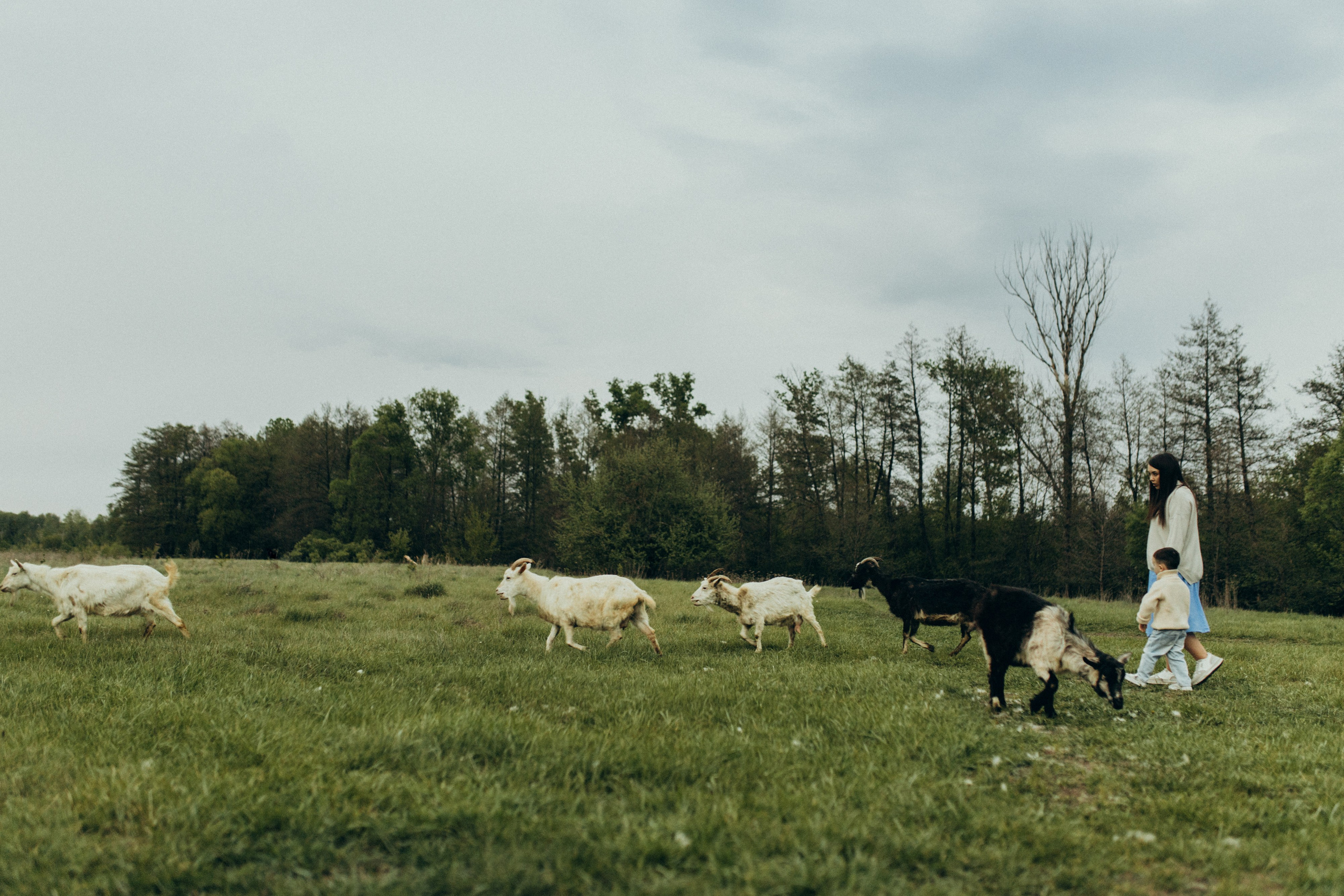 Таня и Илья. Семейный и детский фотограф Башкатова Дарья Старый Оскол