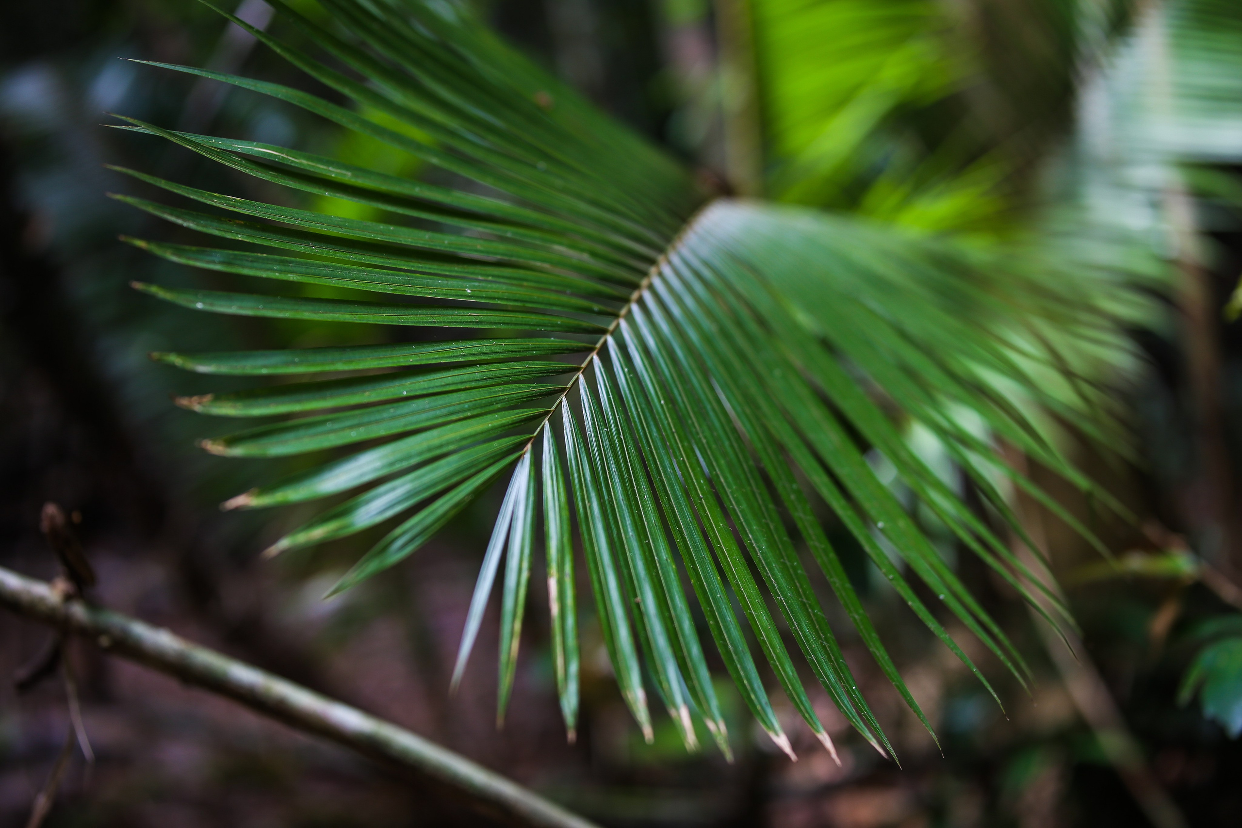 Остров Фукуок, Вьетнам. Фотограф Сергей Кишкель Дананг Нячанг Фукуок