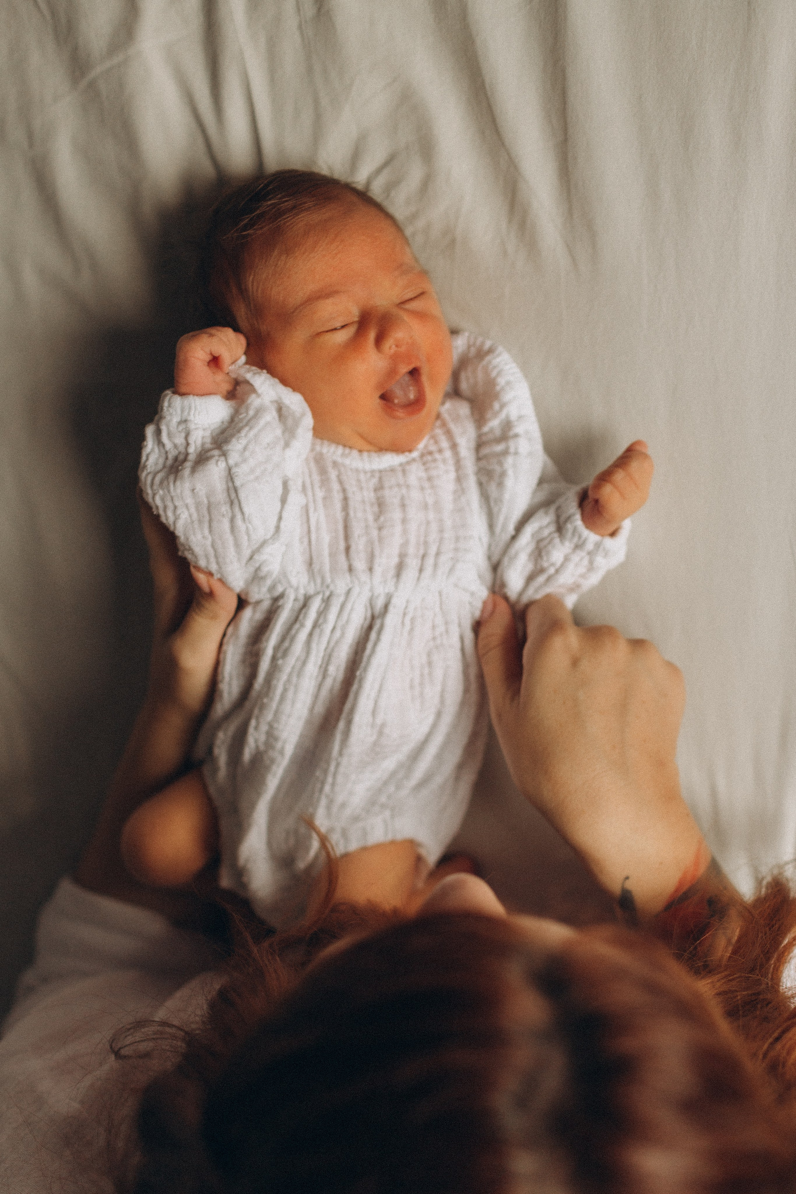 Newborn. -