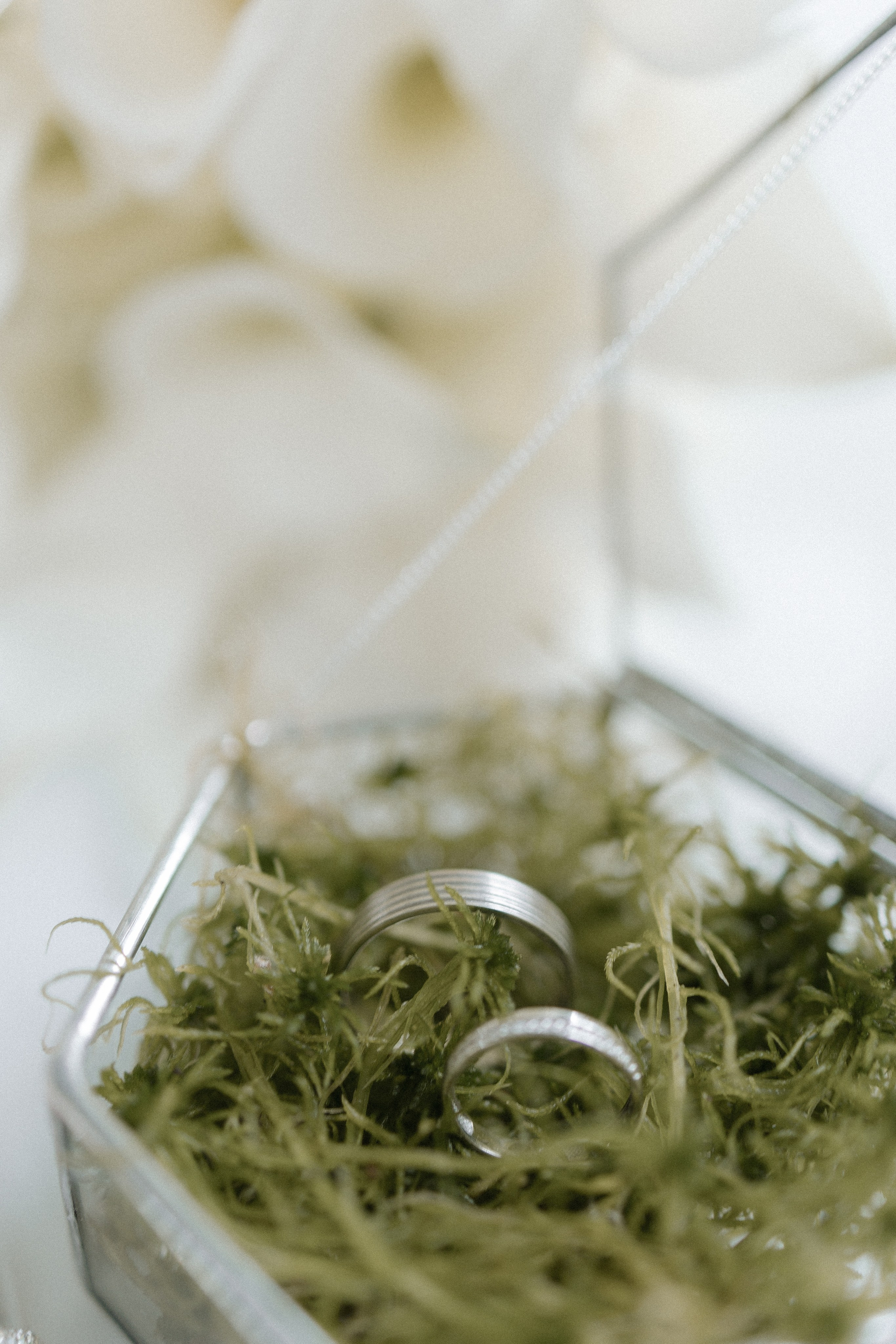 Ирина | Павел. Свадебный и семейный фотограф Санкт-Петербург